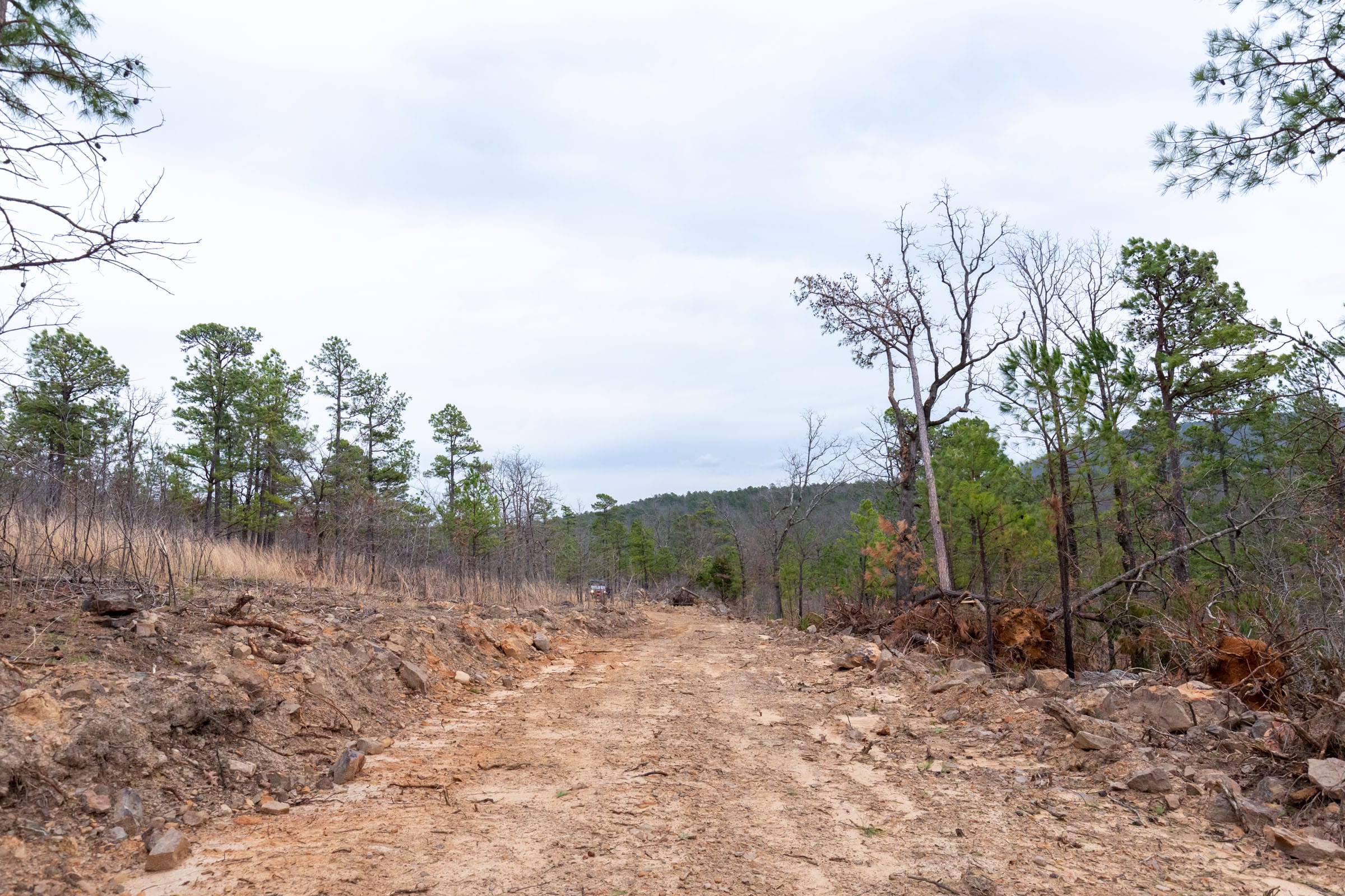 Stone Bridge Phase III Tract 139 photo 7