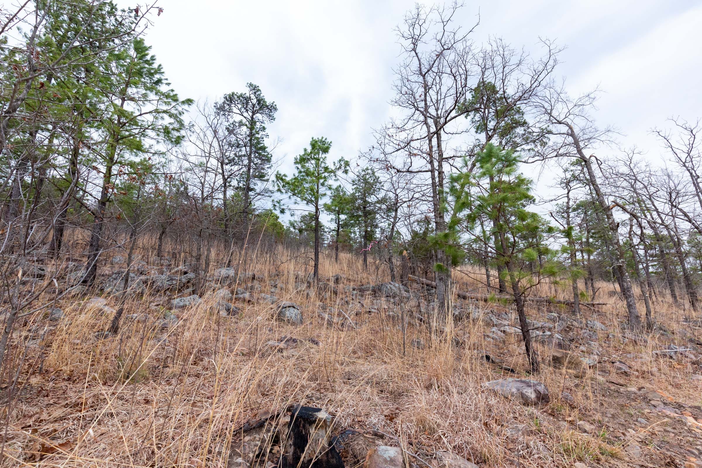 Stone Bridge Phase III Tract 139 photo 11