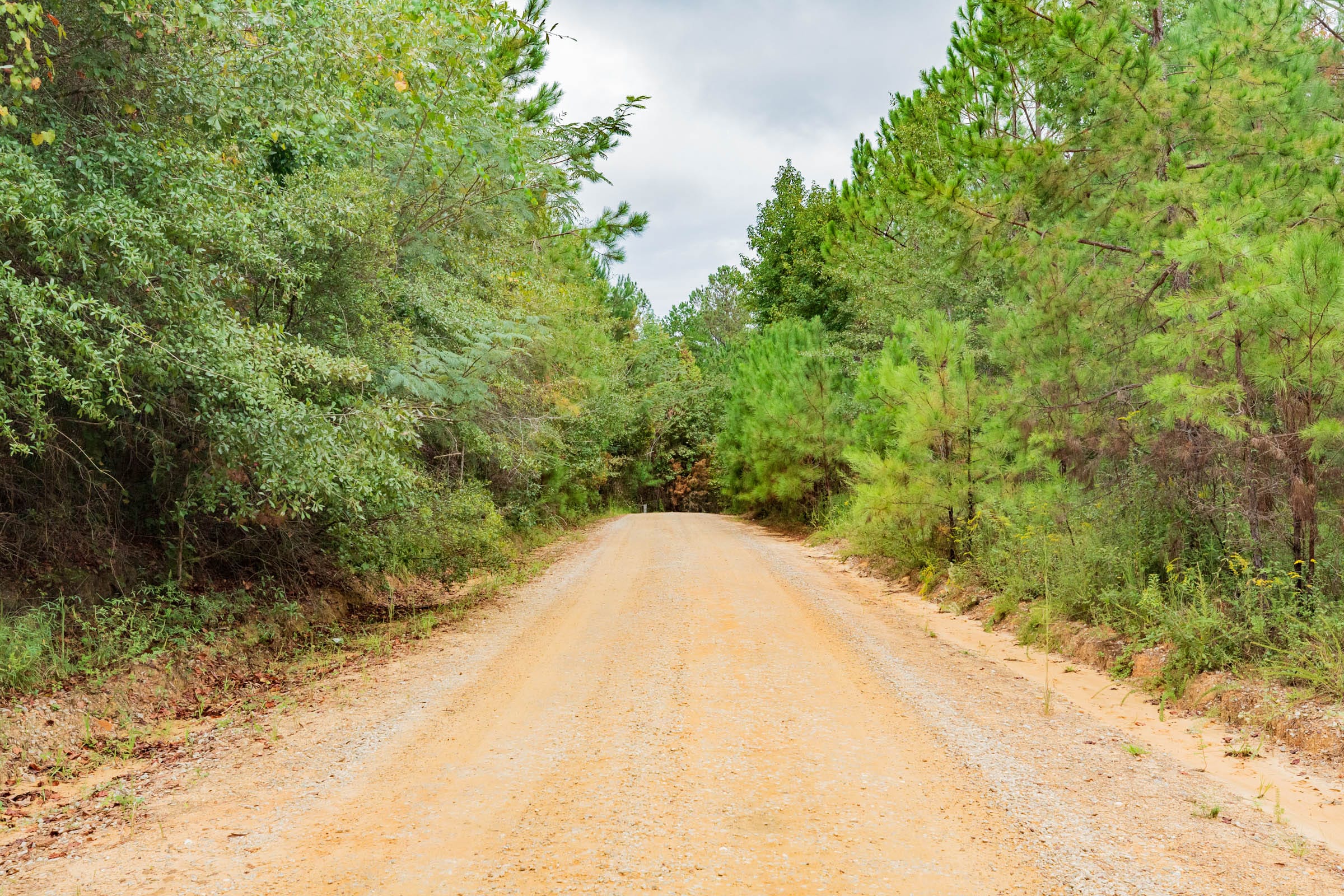 Jackson’s Gap Tract 4 photo 4