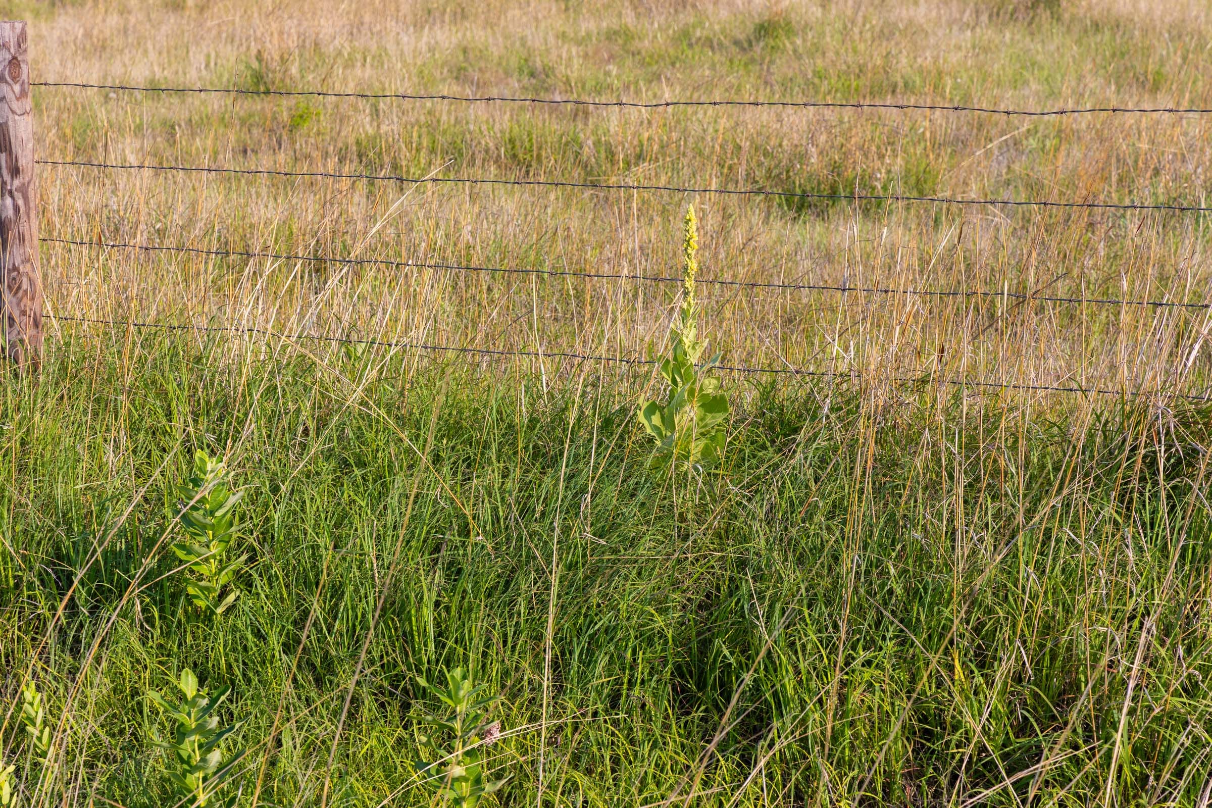 Crandall's Corner Tract 2 photo 3