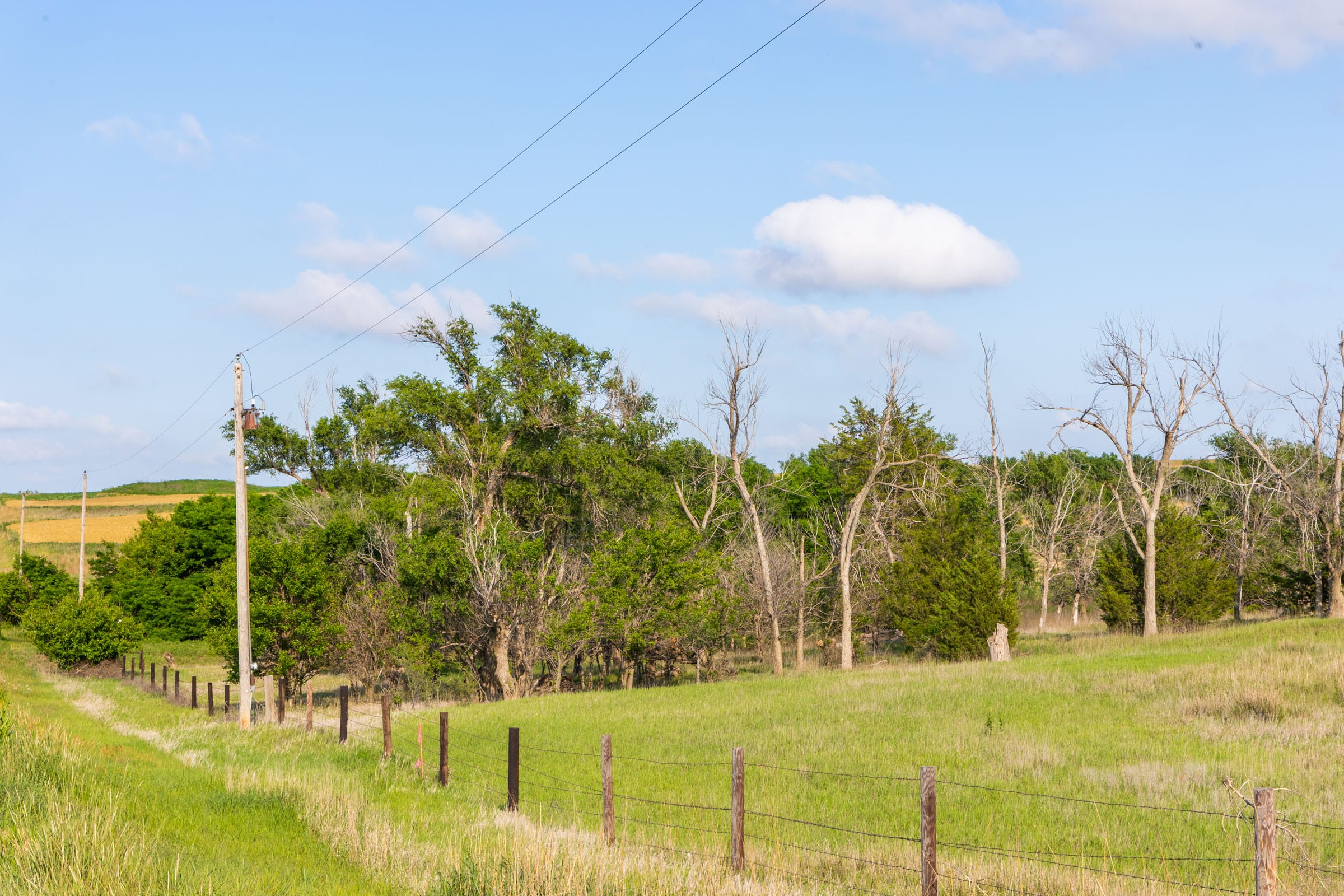 Crandall's Corner Tract 2 photo 8
