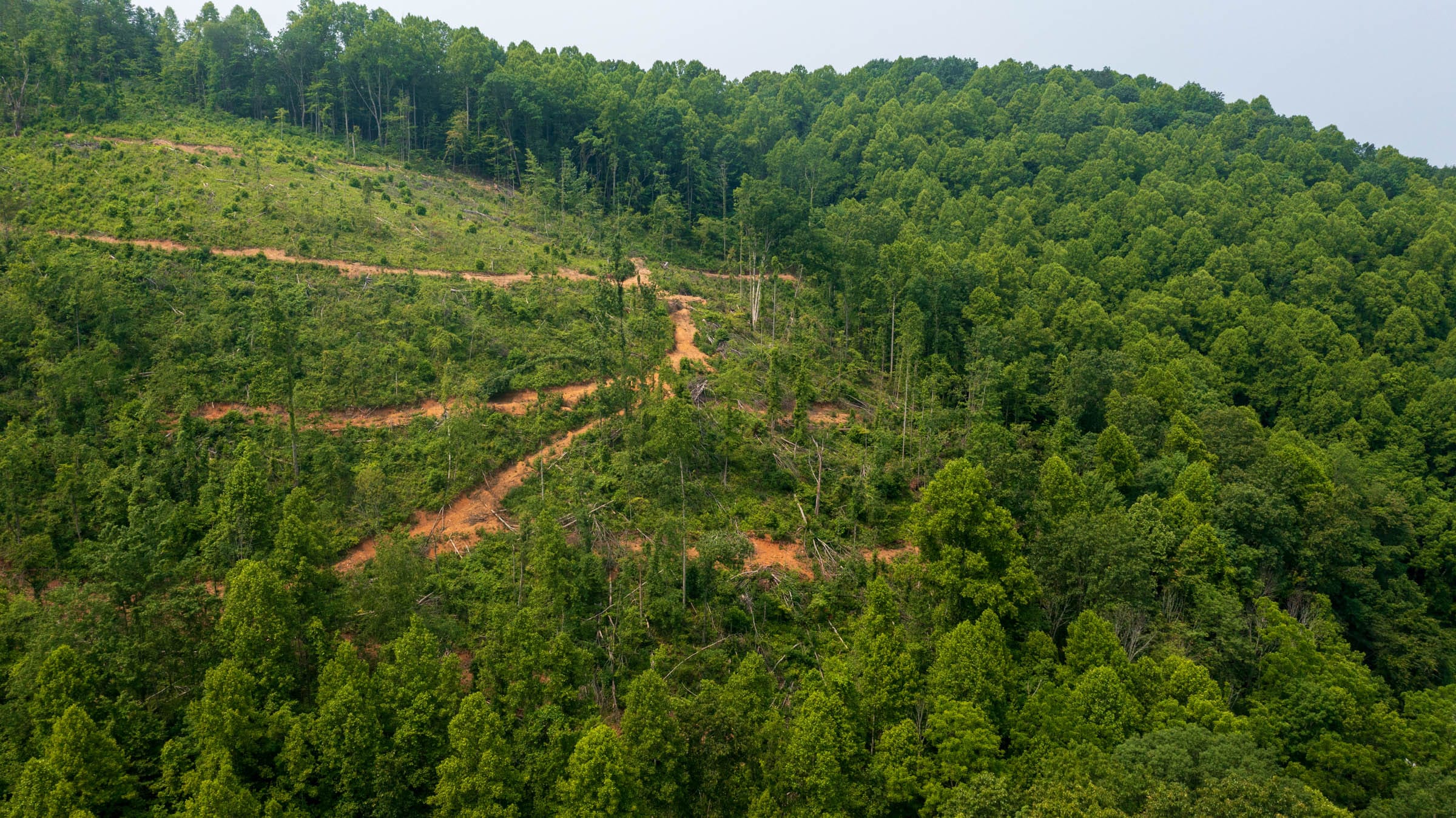 Bluffview Tract 5 photo 4