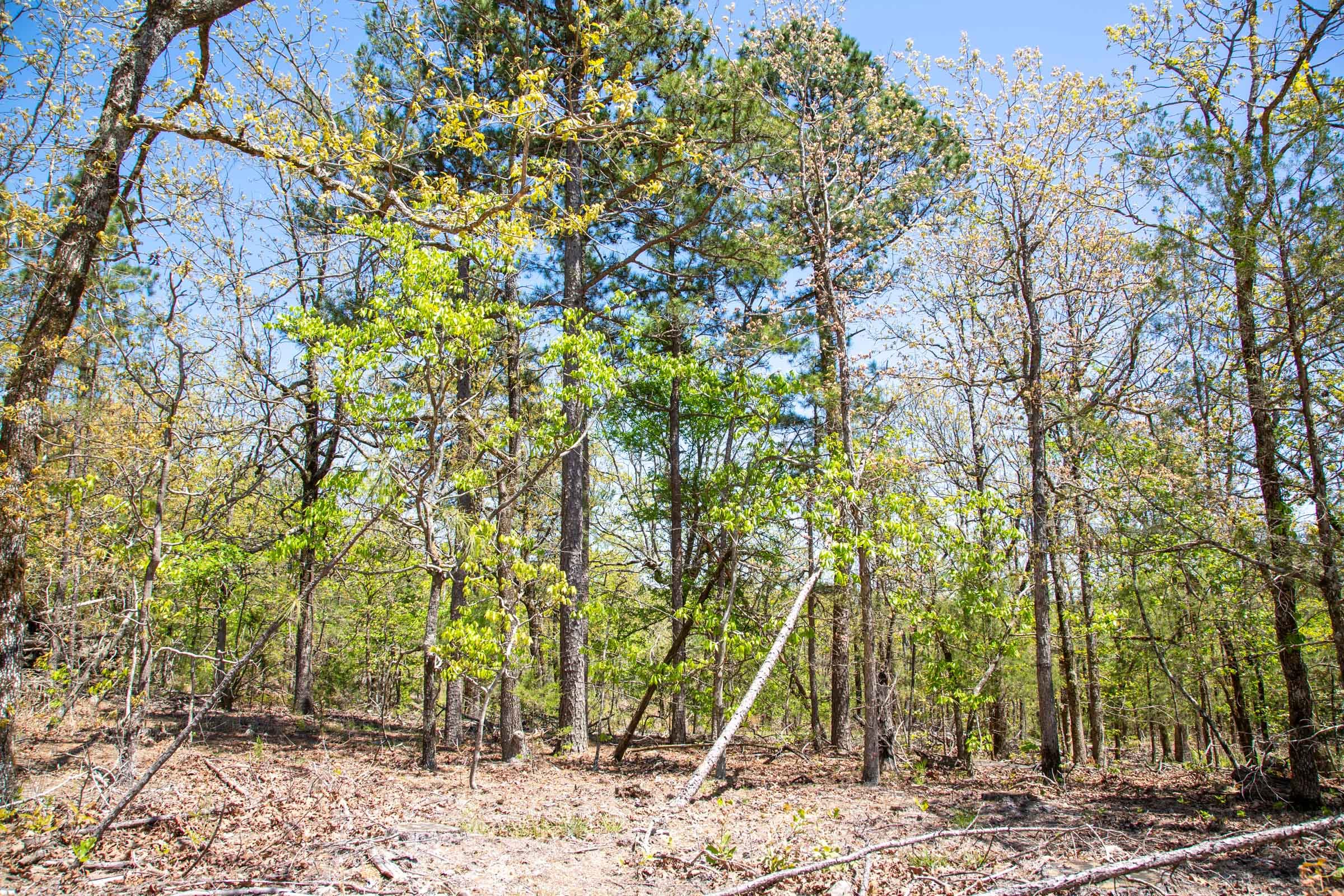 Eagle’s Nest Tract 11 photo 7