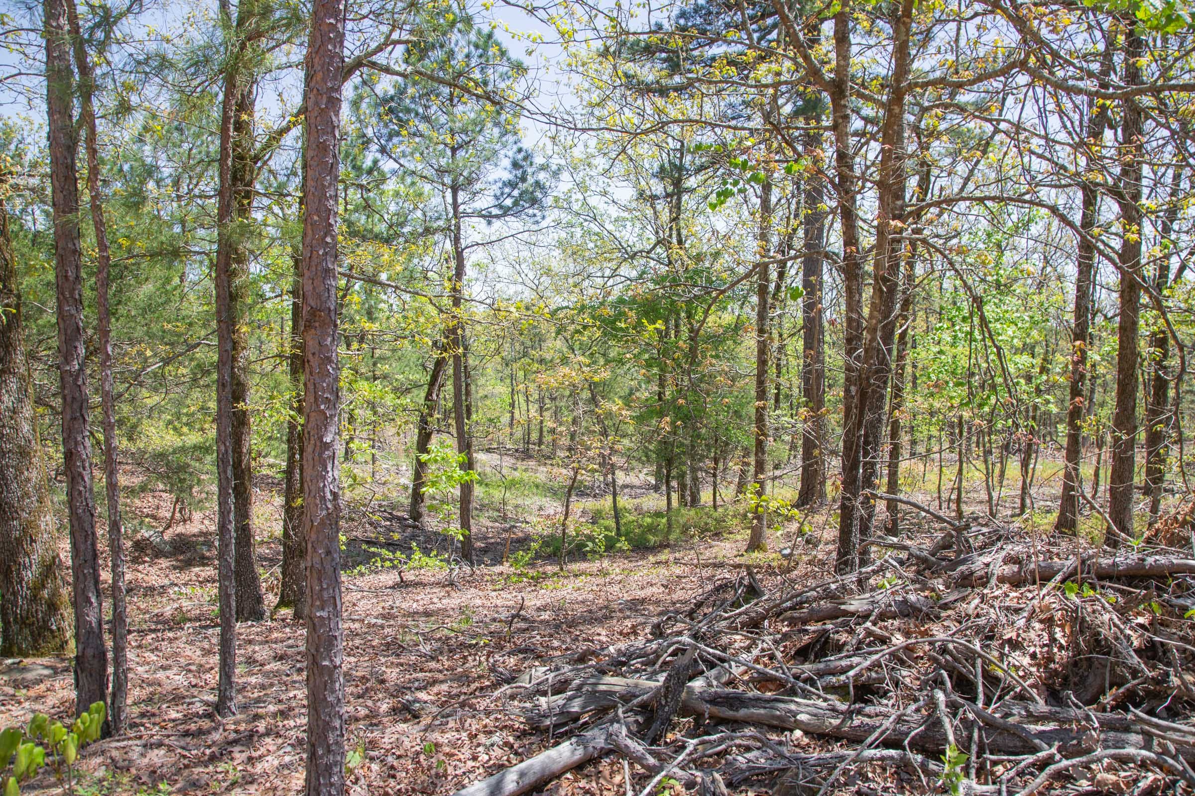 Eagle’s Nest Tract 11 photo 8