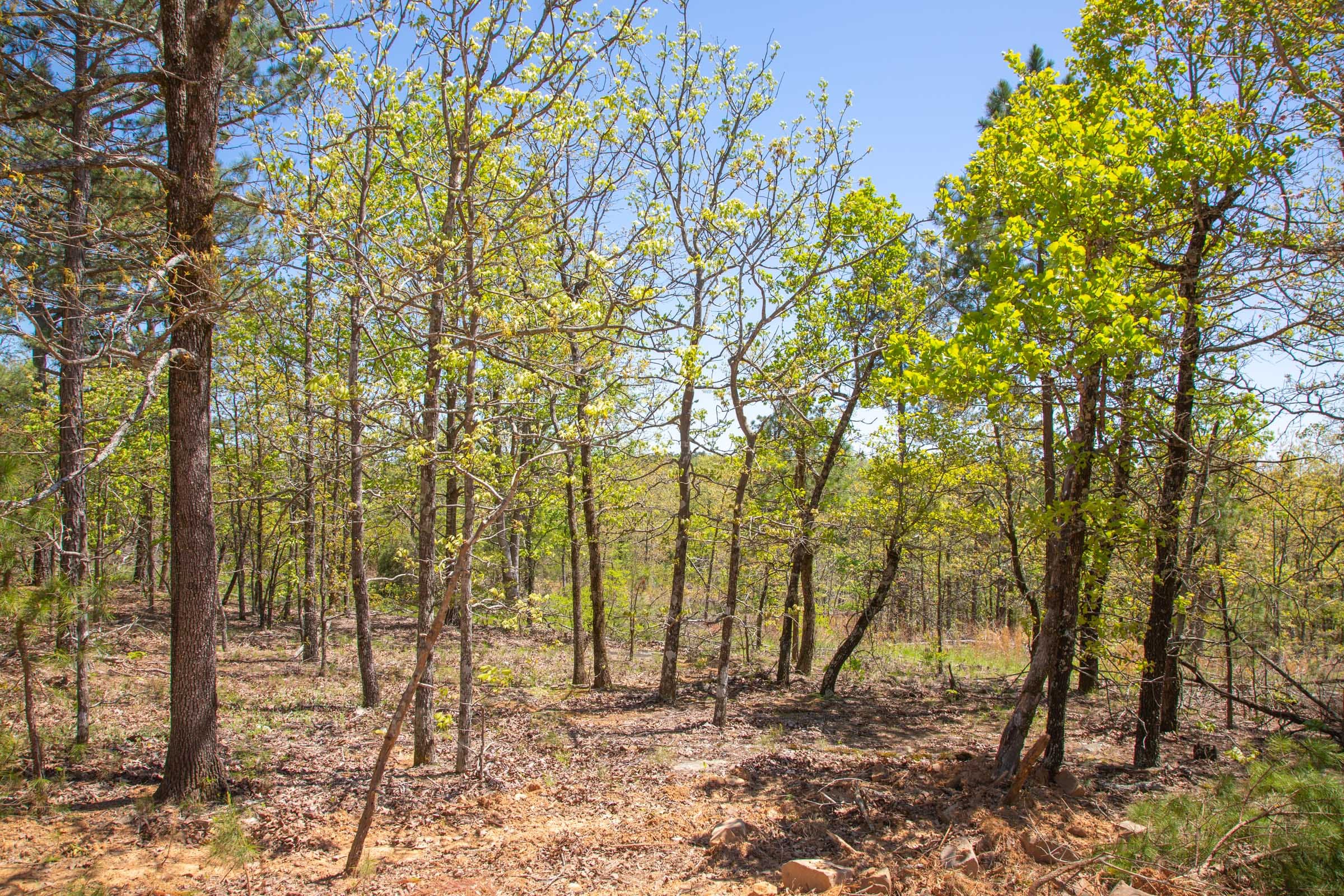 Eagle’s Nest Tract 11 photo 9