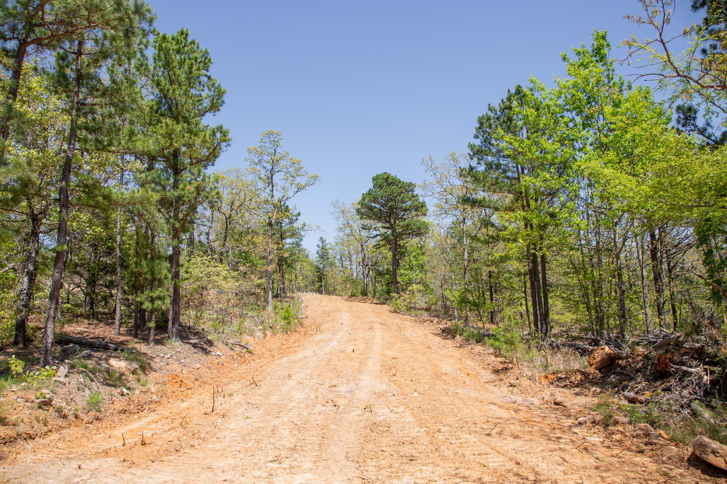 Eagle’s Nest Tract 11 photo 2