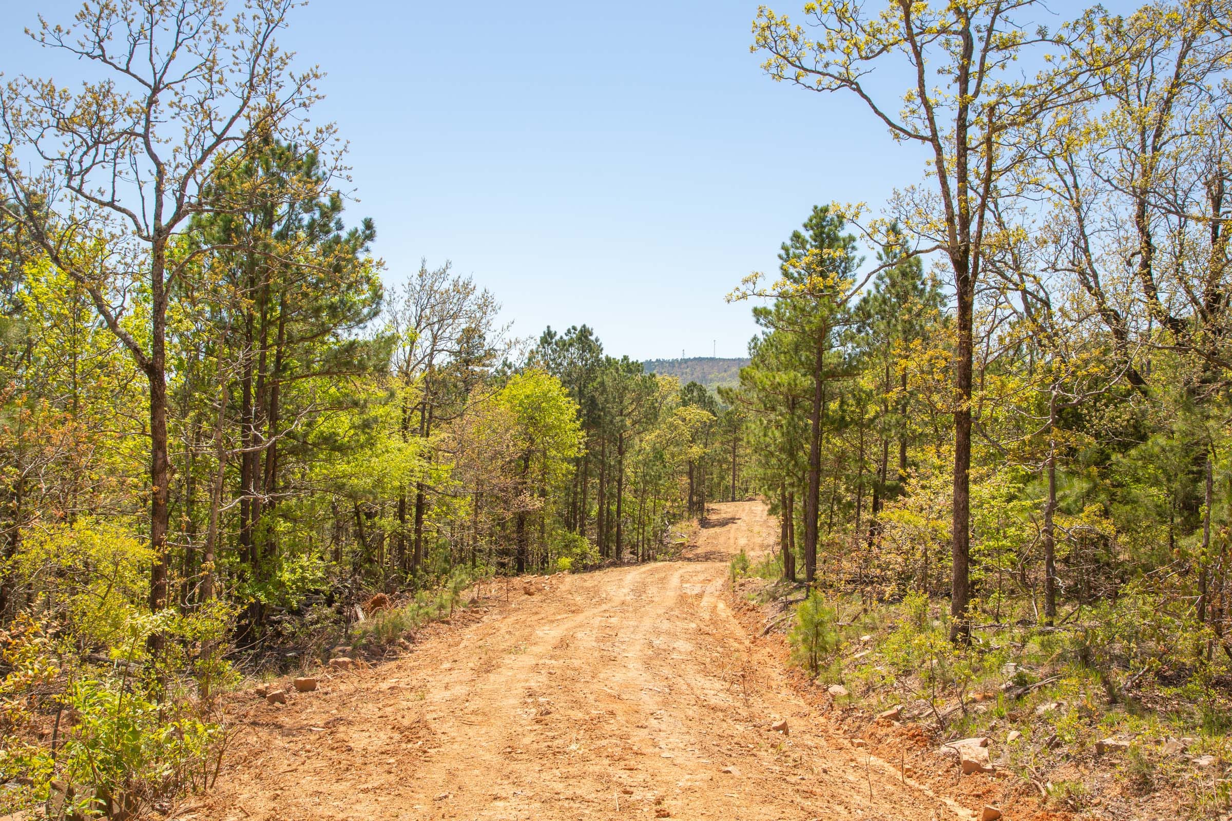 Eagle’s Nest Tract 11 photo 10