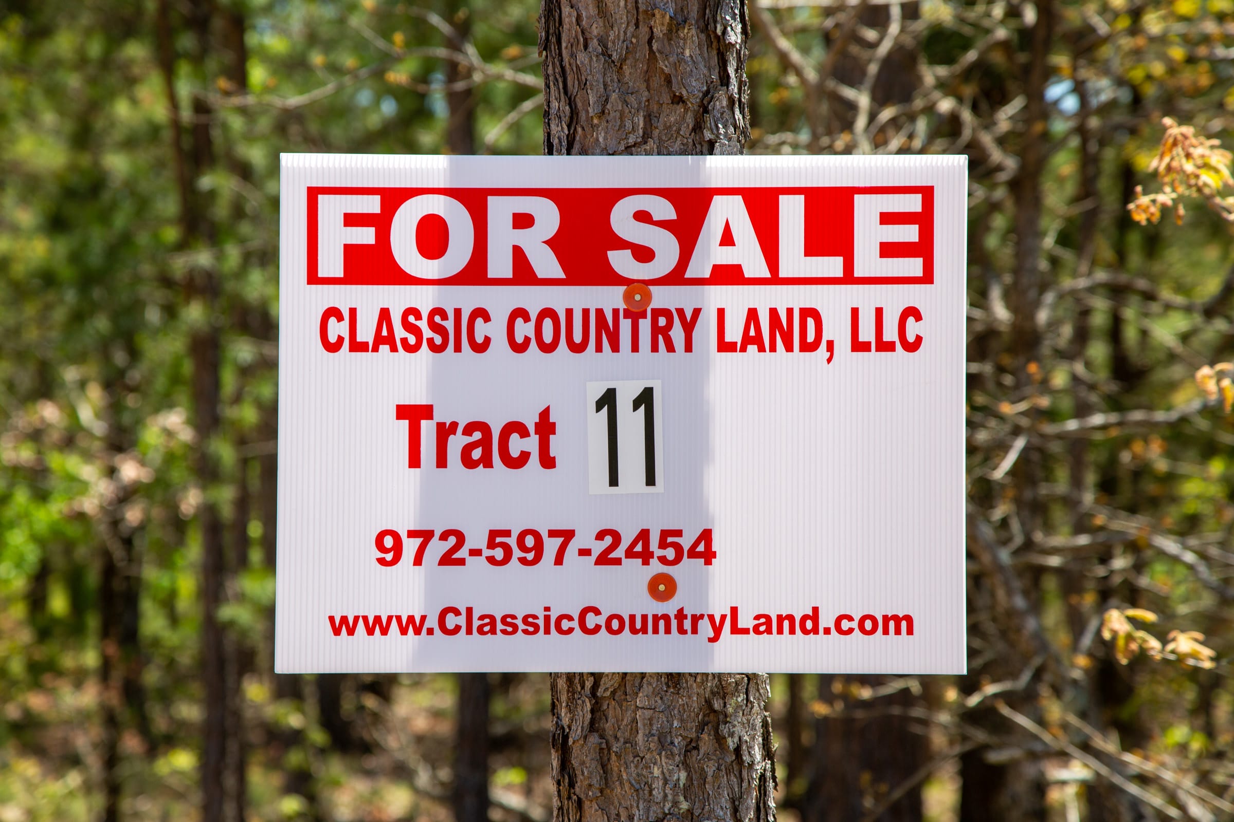 Eagle’s Nest Tract 11 photo 1