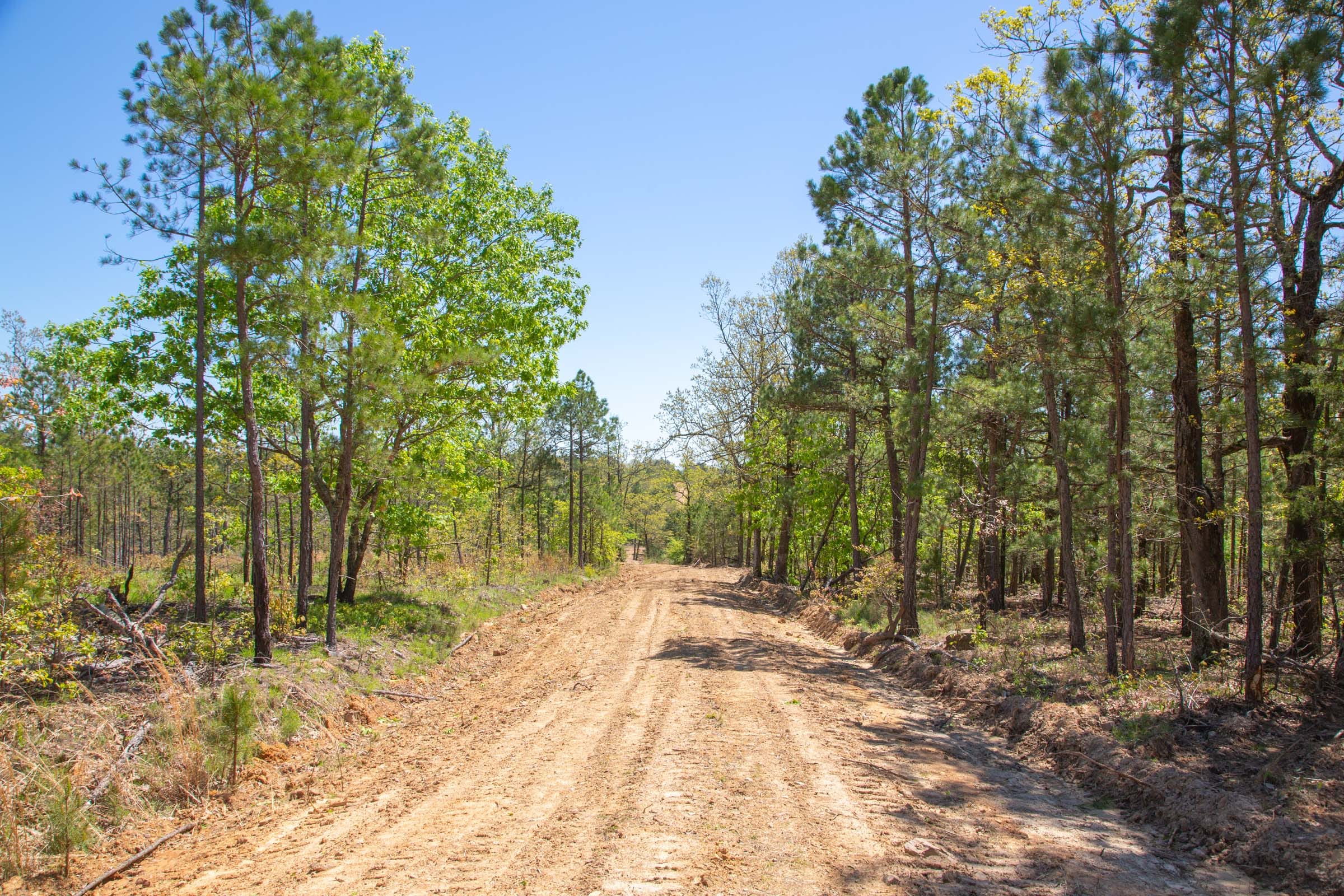 Eagle’s Nest Tract 11 photo 13