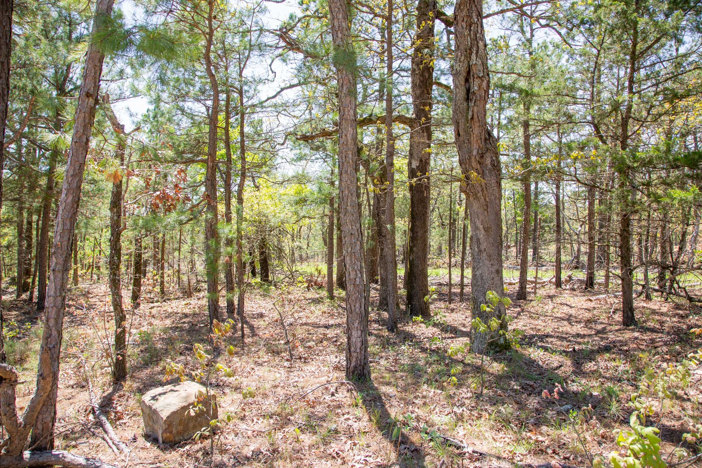 Eagle’s Nest Tract 11 photo 14