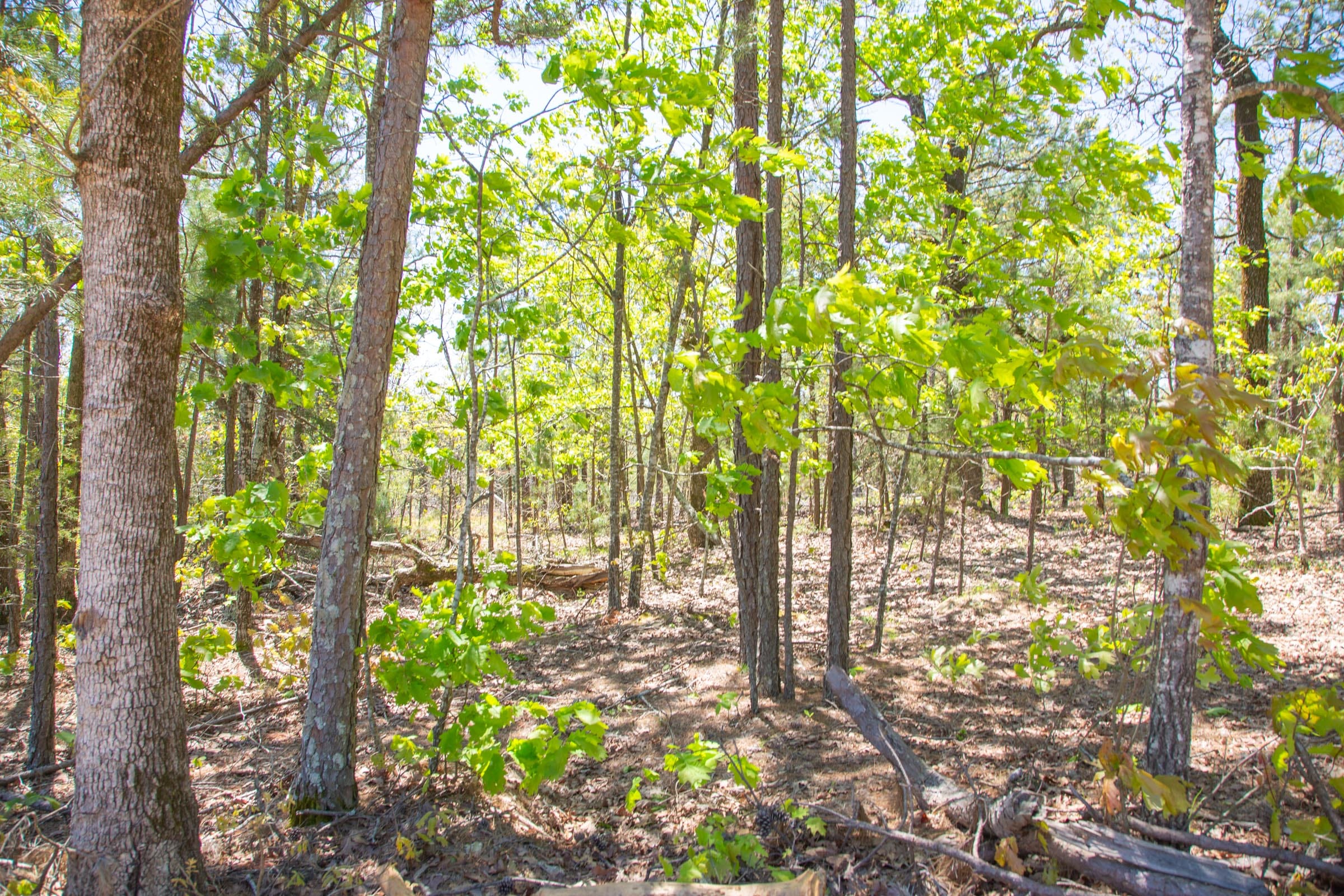 Eagle’s Nest Tract 11 photo 15