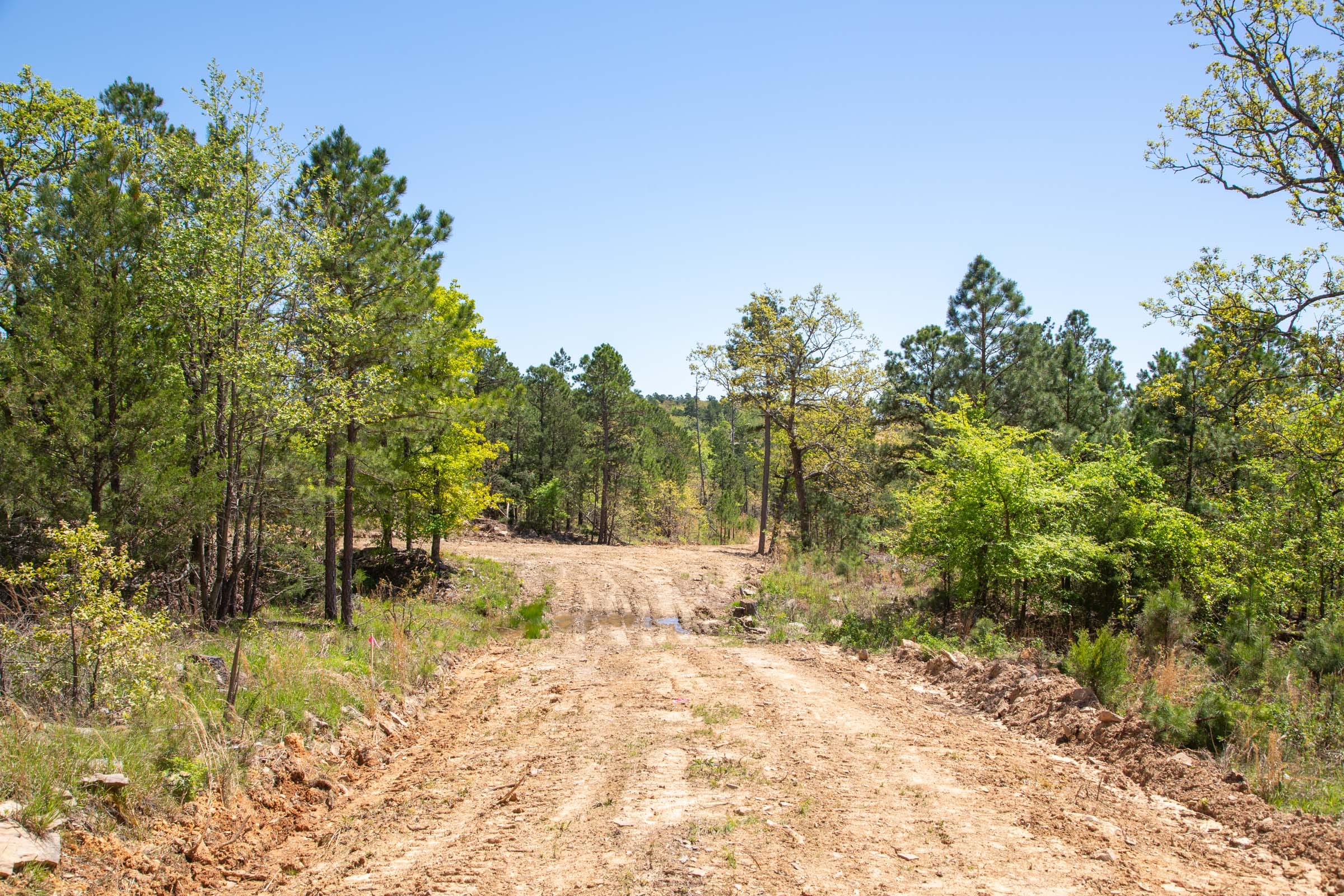 Eagle’s Nest Tract 11 photo 16
