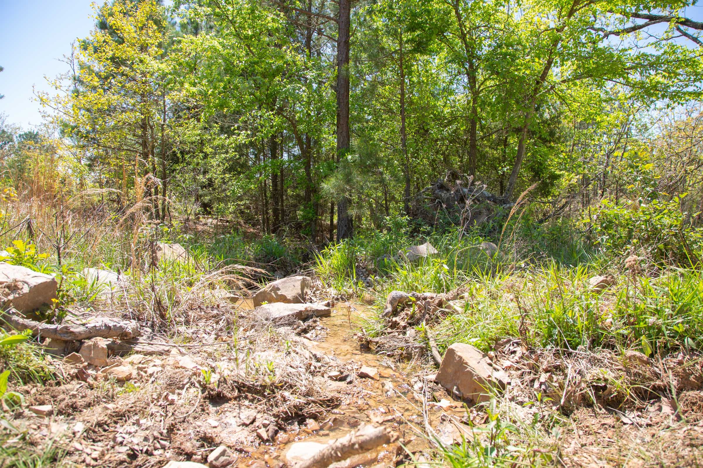Eagle’s Nest Tract 11 photo 17
