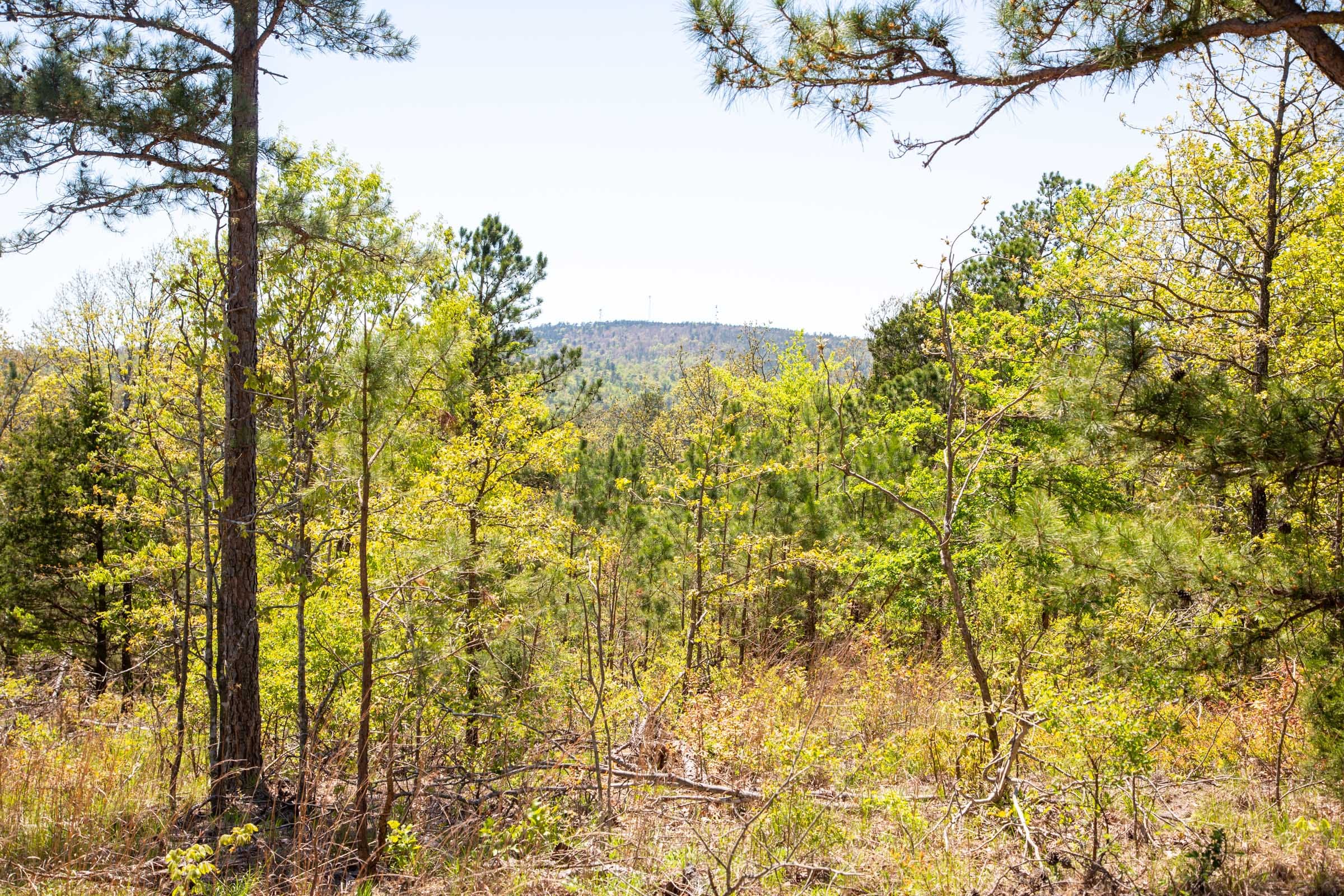 Eagle’s Nest Tract 11 photo 18