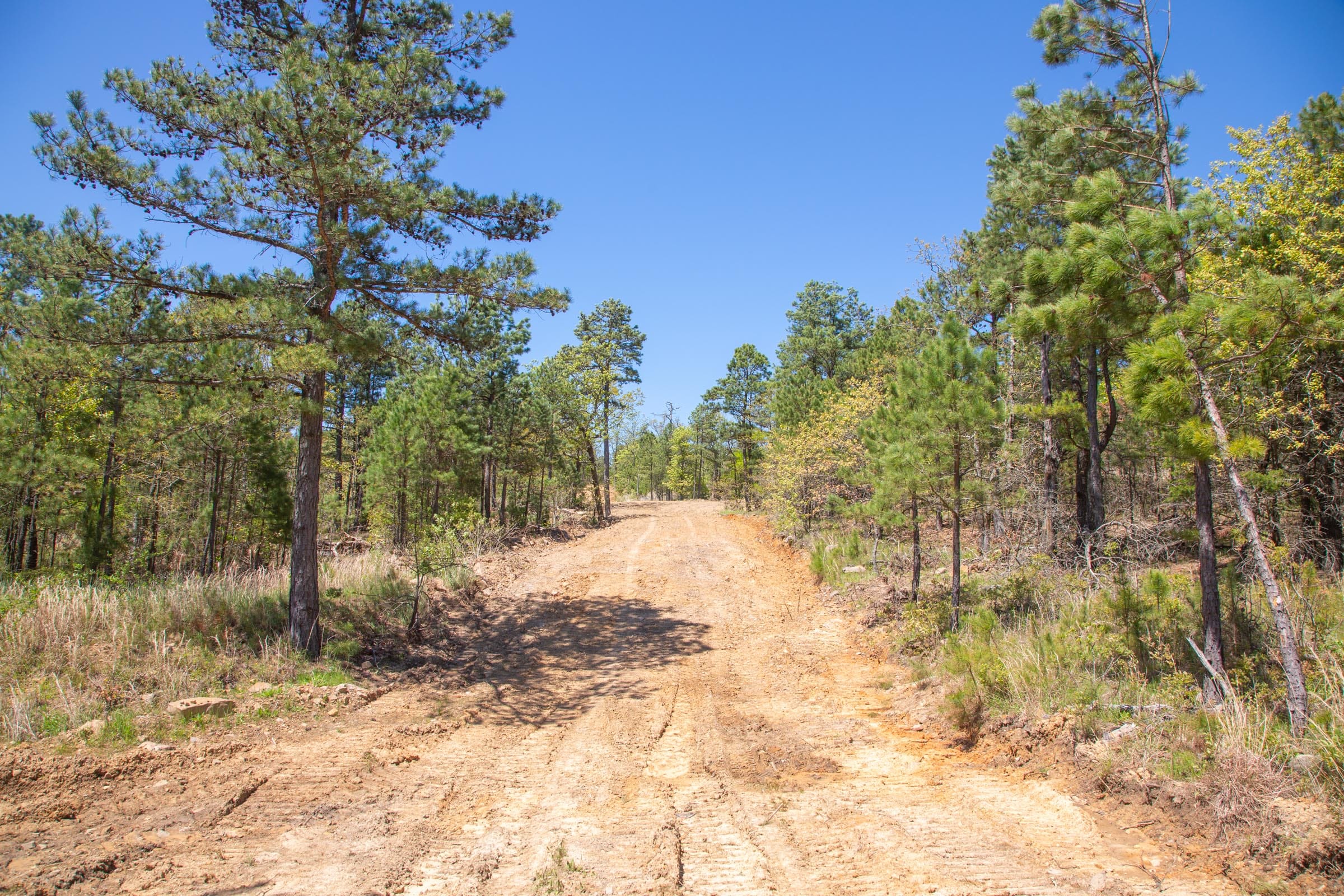 Eagle’s Nest Tract 11 photo 19
