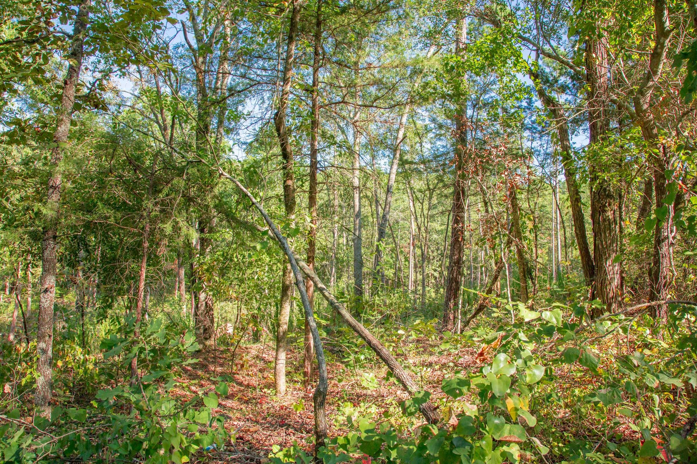 Stone Creek Phase II Tract 269 photo 4