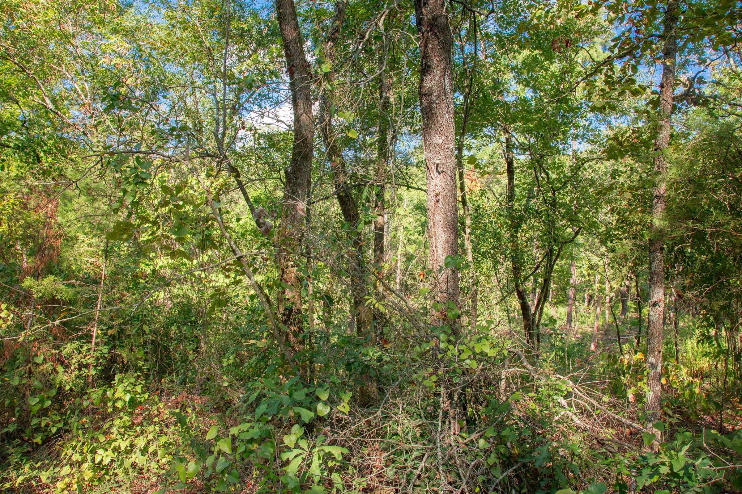 Stone Creek Phase II Tract 269 photo 5