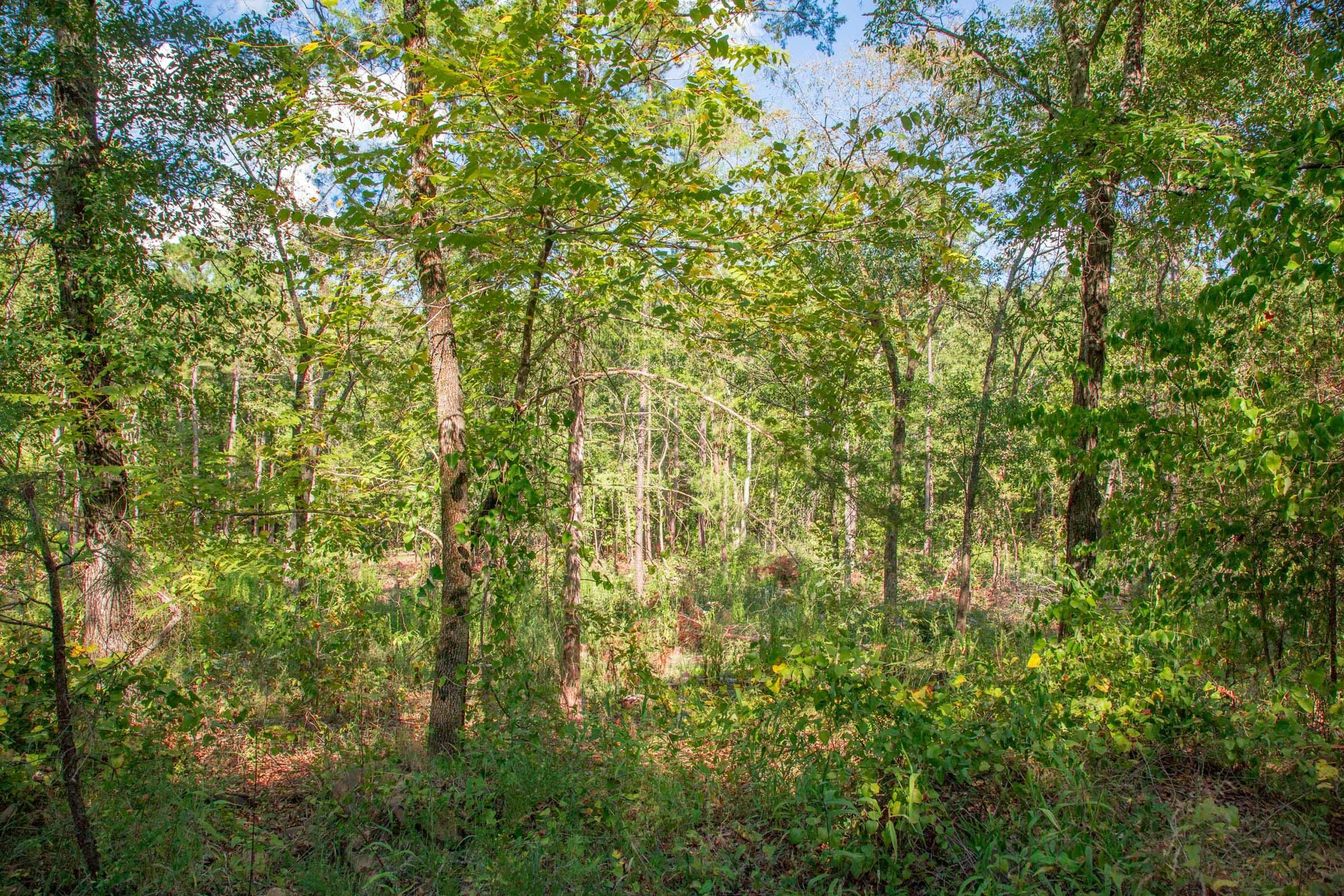 Stone Creek Phase II Tract 269 photo 7