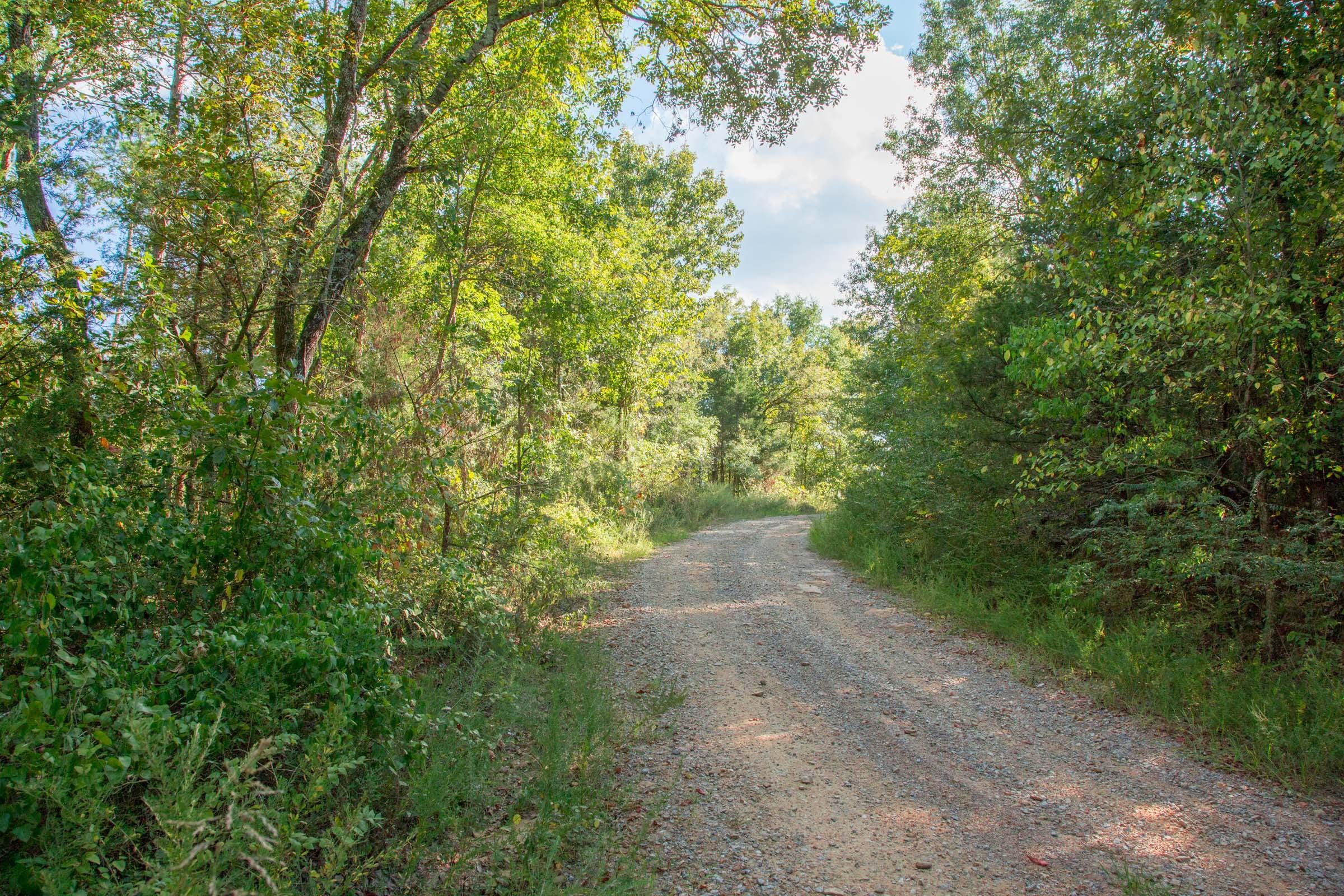 Stone Creek Phase II Tract 269 photo 6