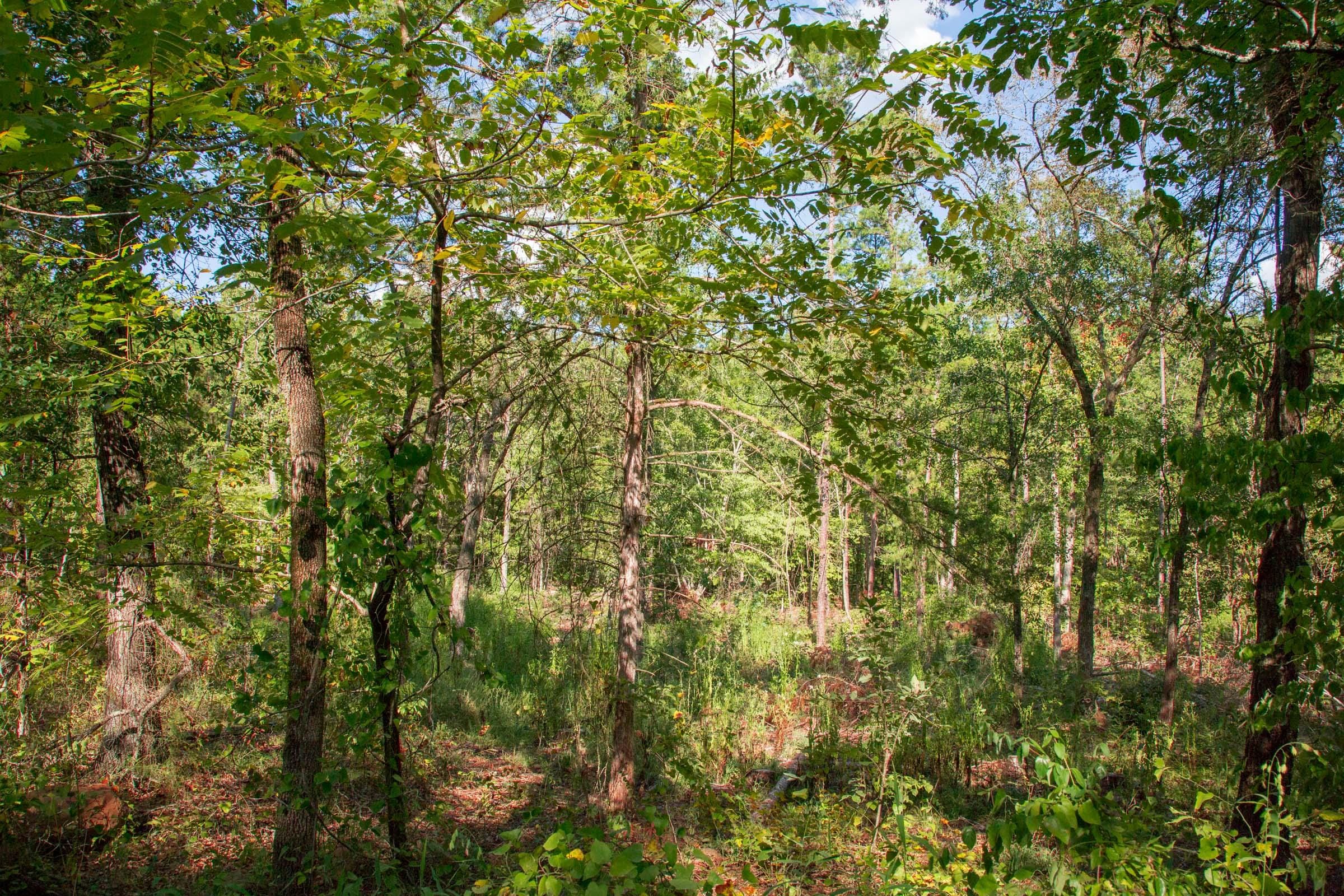Stone Creek Phase II Tract 269 photo 8