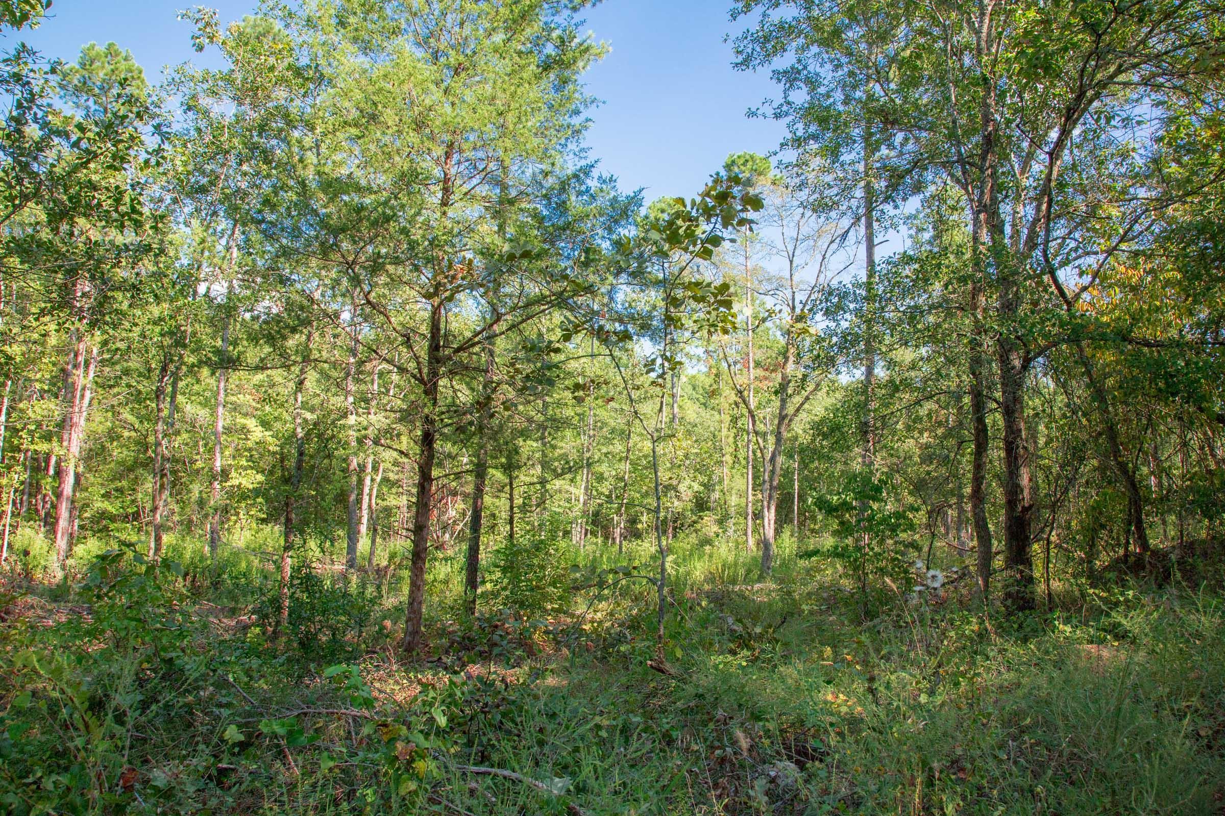 Stone Creek Phase II Tract 269 photo 9
