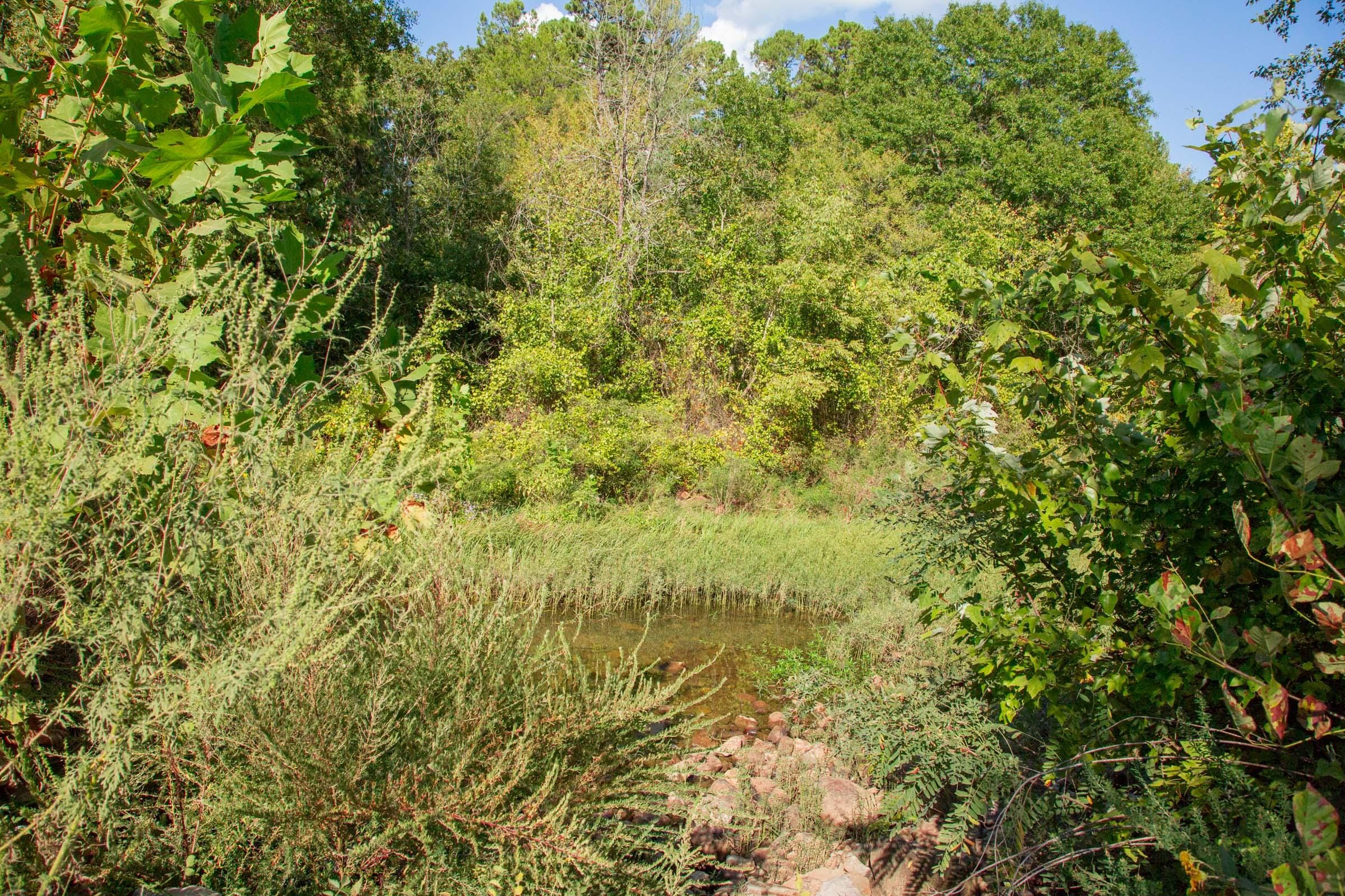 Stone Creek Phase II Tract 269 photo 11