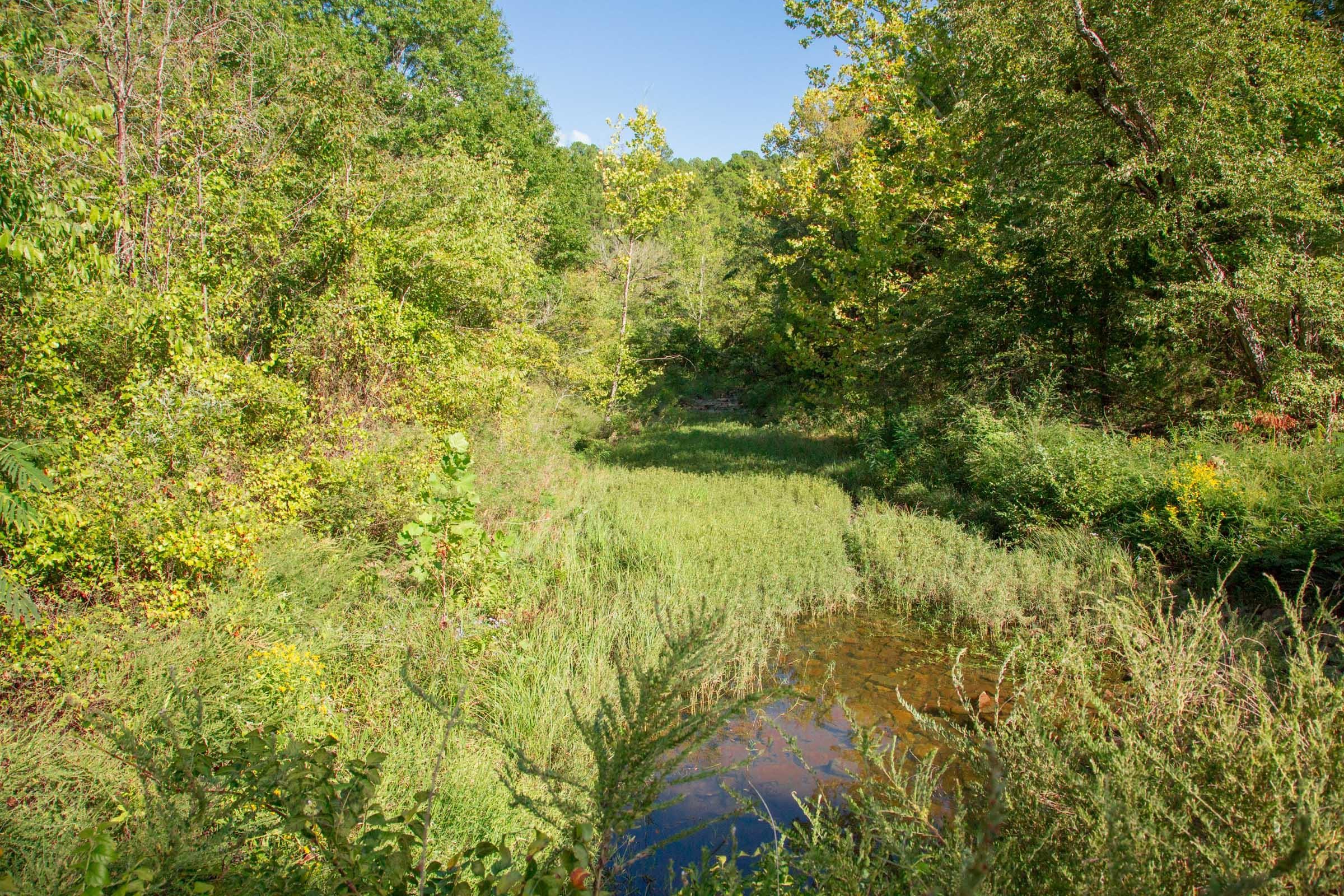Stone Creek Phase II Tract 269 photo 12