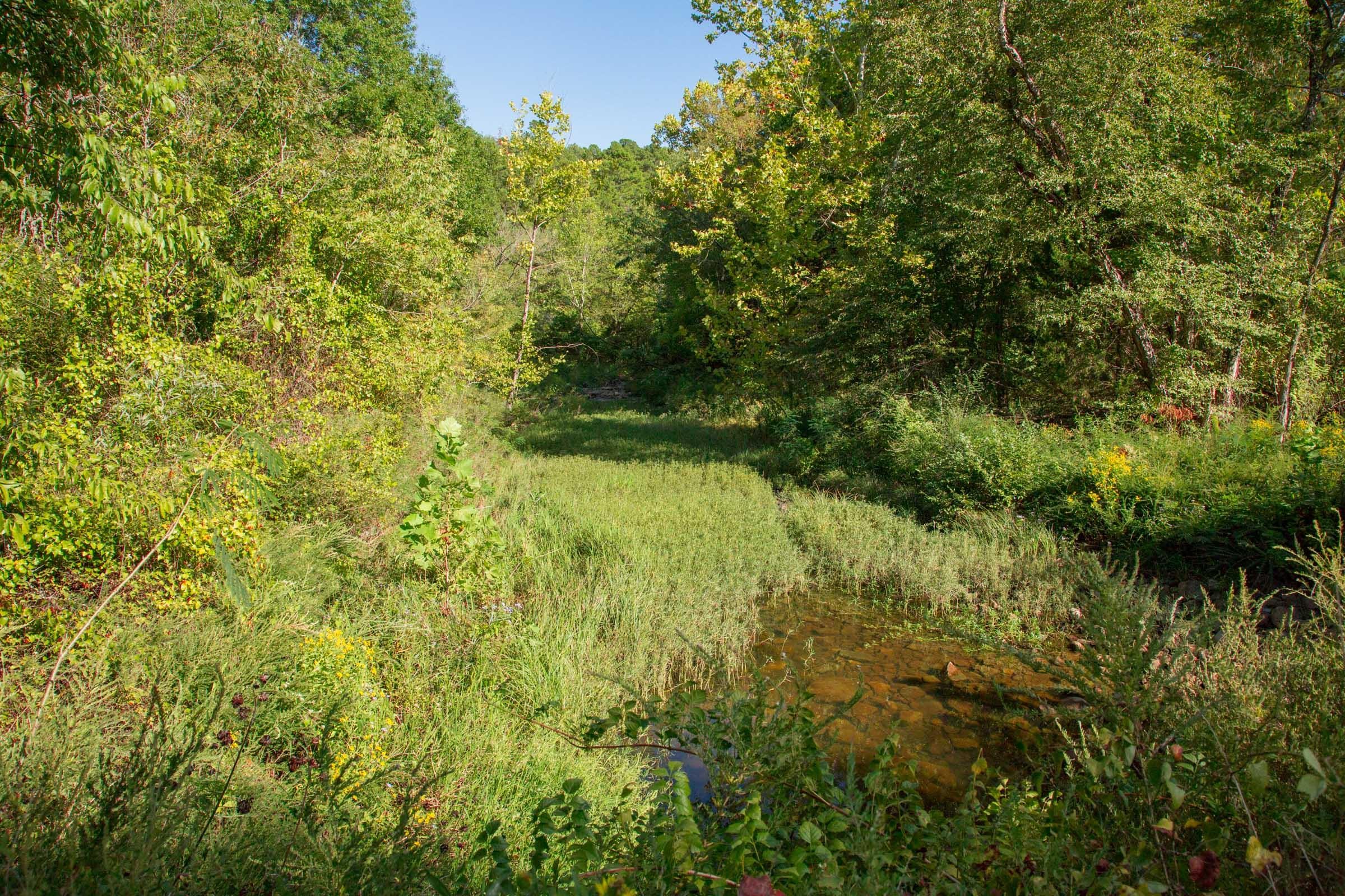 Stone Creek Phase II Tract 269 photo 13