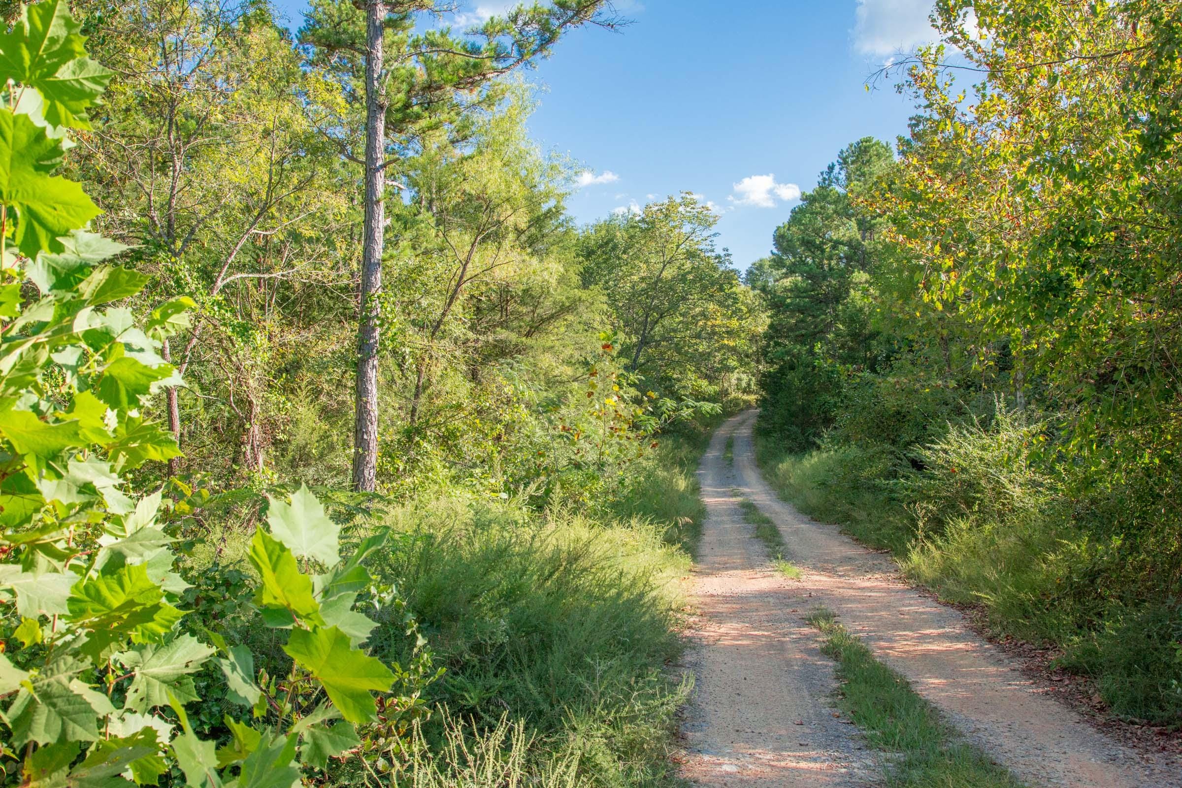 Stone Creek Phase II Tract 269 photo 10