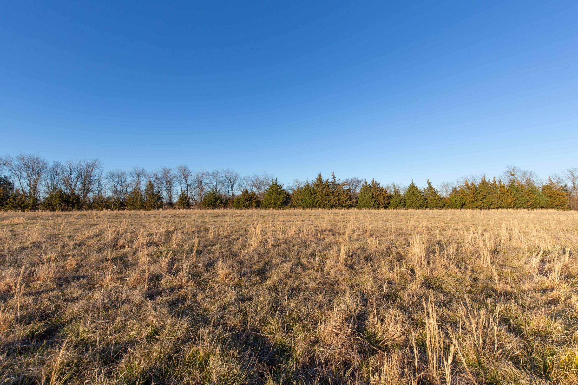 Wishing Star Ranch Tract 71 photo 2
