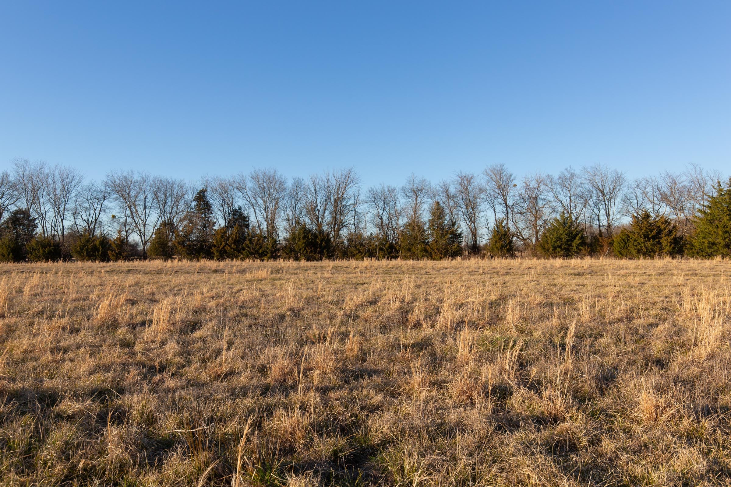 Wishing Star Ranch Tract 71 photo 4