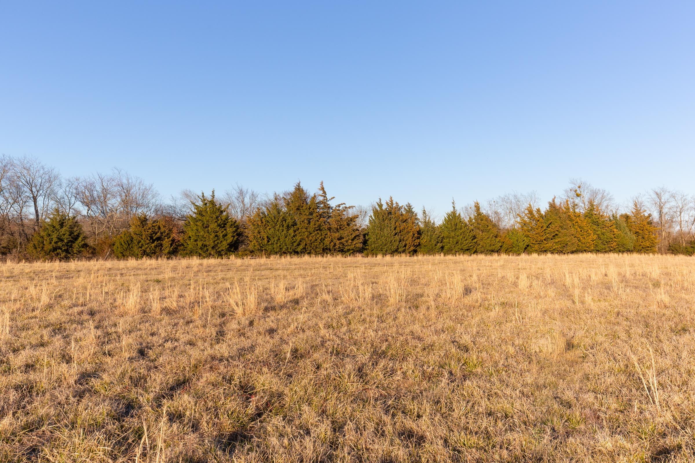 Wishing Star Ranch Tract 71 photo 6