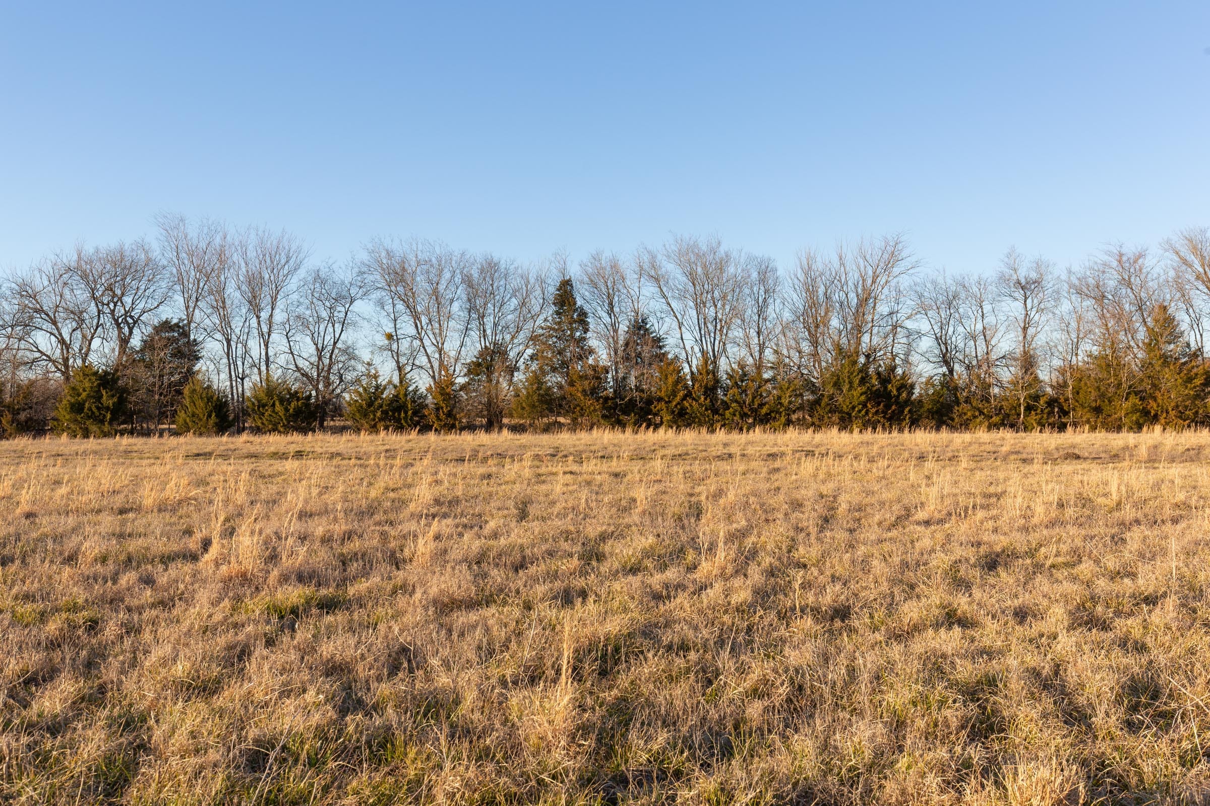 Wishing Star Ranch Tract 71 photo 8