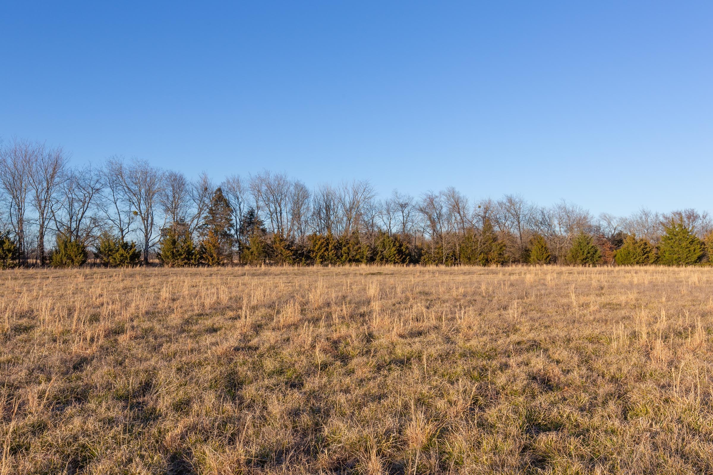 Wishing Star Ranch Tract 71 photo 9