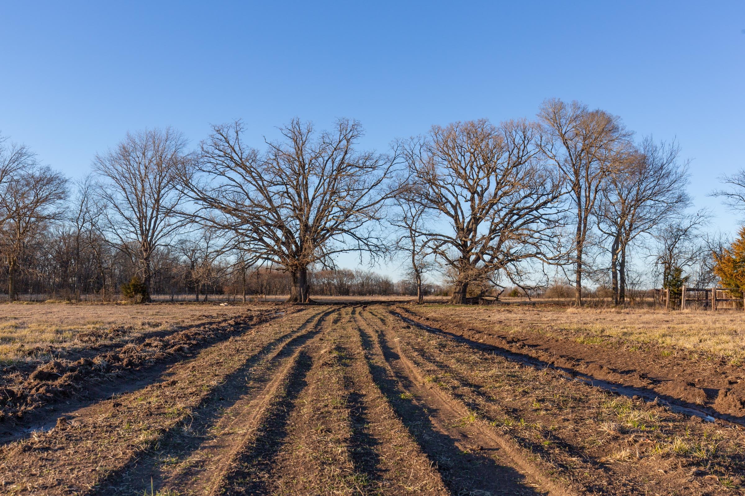 Wishing Star Ranch Tract 71 photo 1