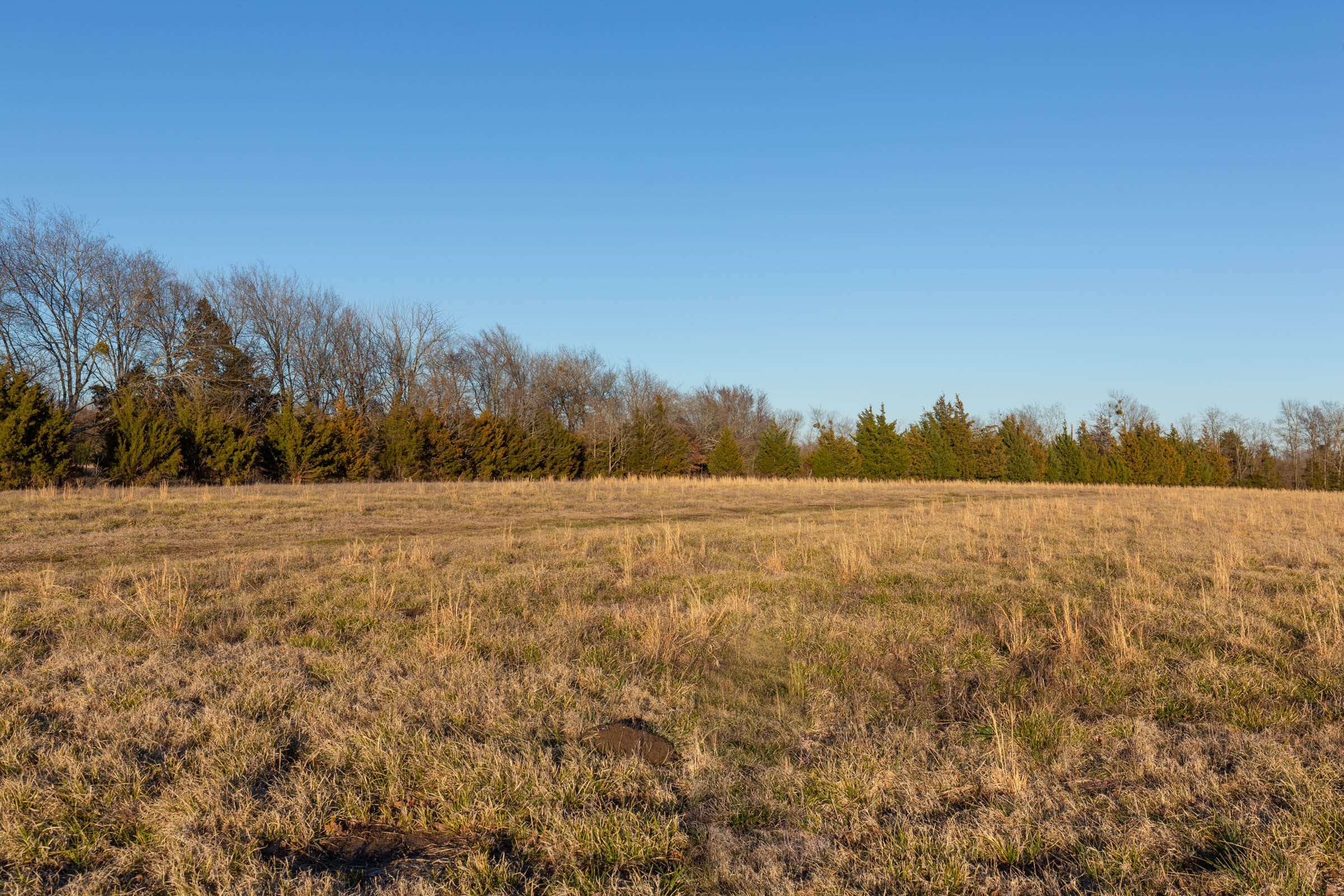 Wishing Star Ranch Tract 71 photo 10