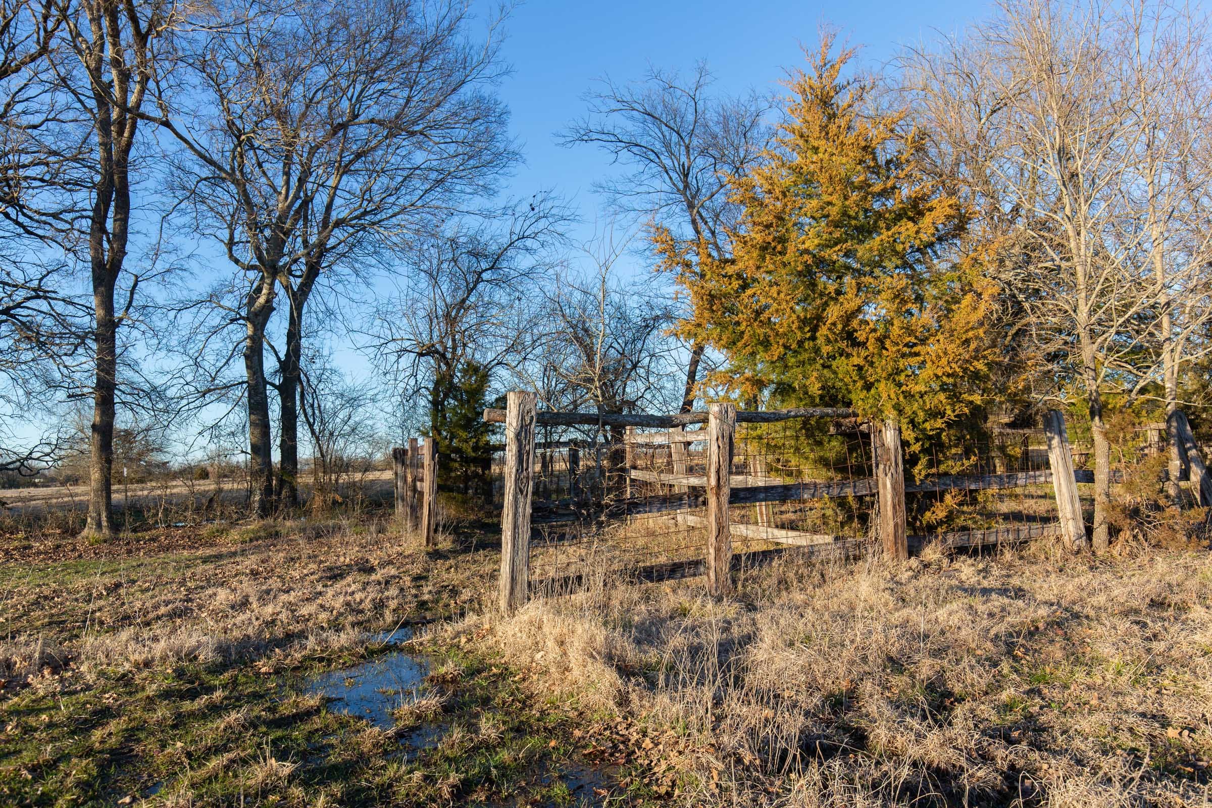 Wishing Star Ranch Tract 71 photo 7