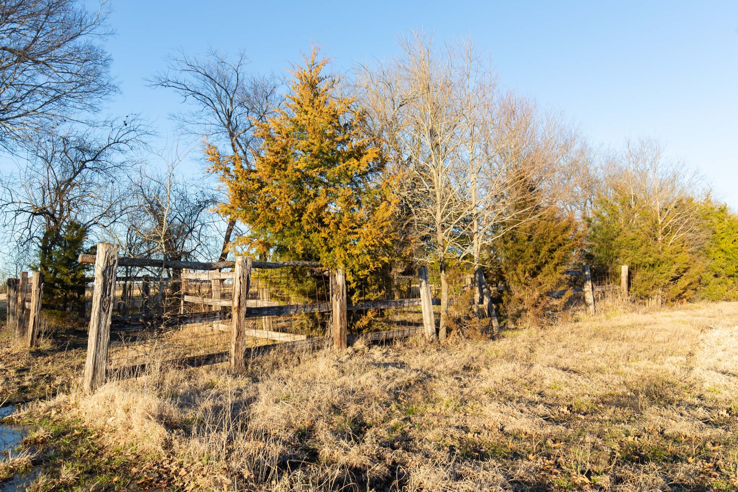 Wishing Star Ranch Tract 71 photo 3