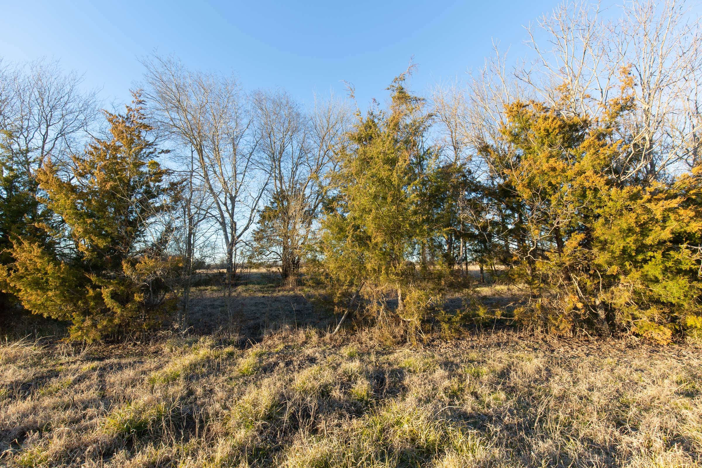 Wishing Star Ranch Tract 71 photo 11