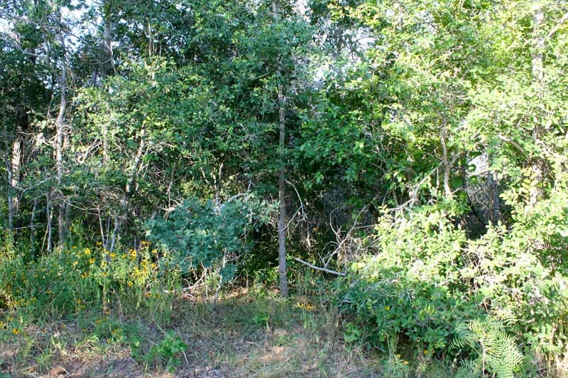 Tahitian Village Tract 660 photo 17