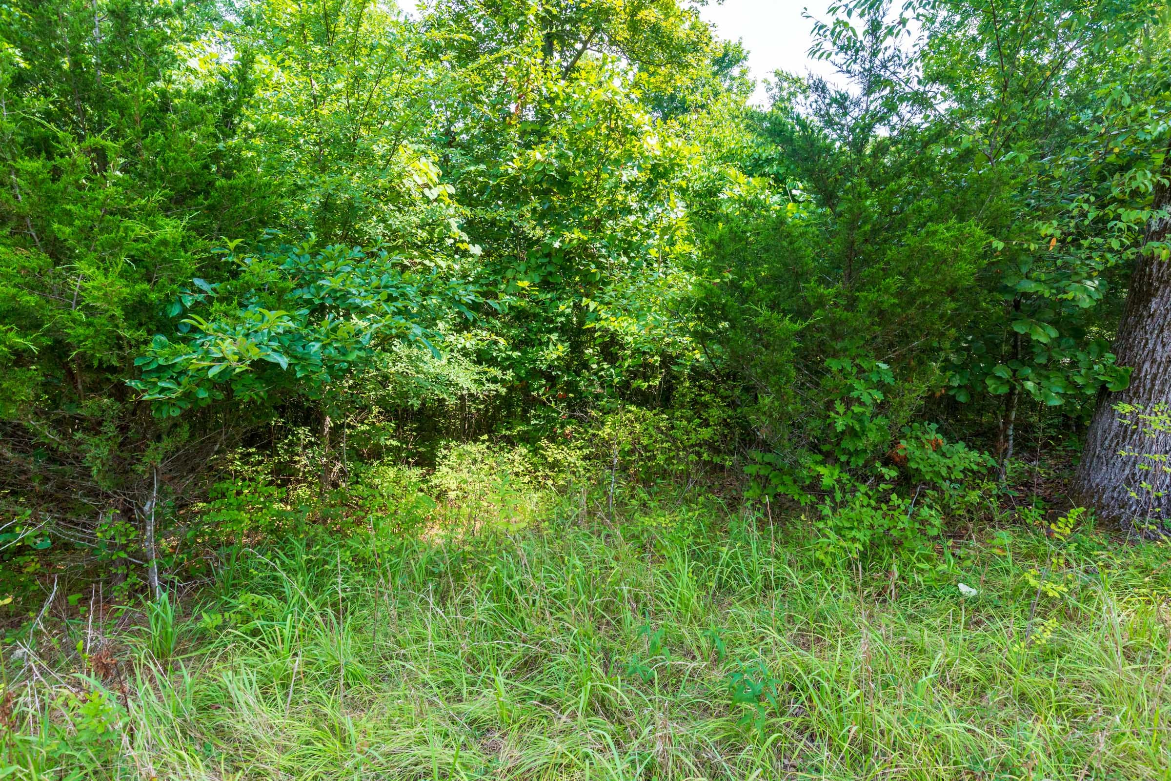 Cypress Ridge Tract 24 photo 1