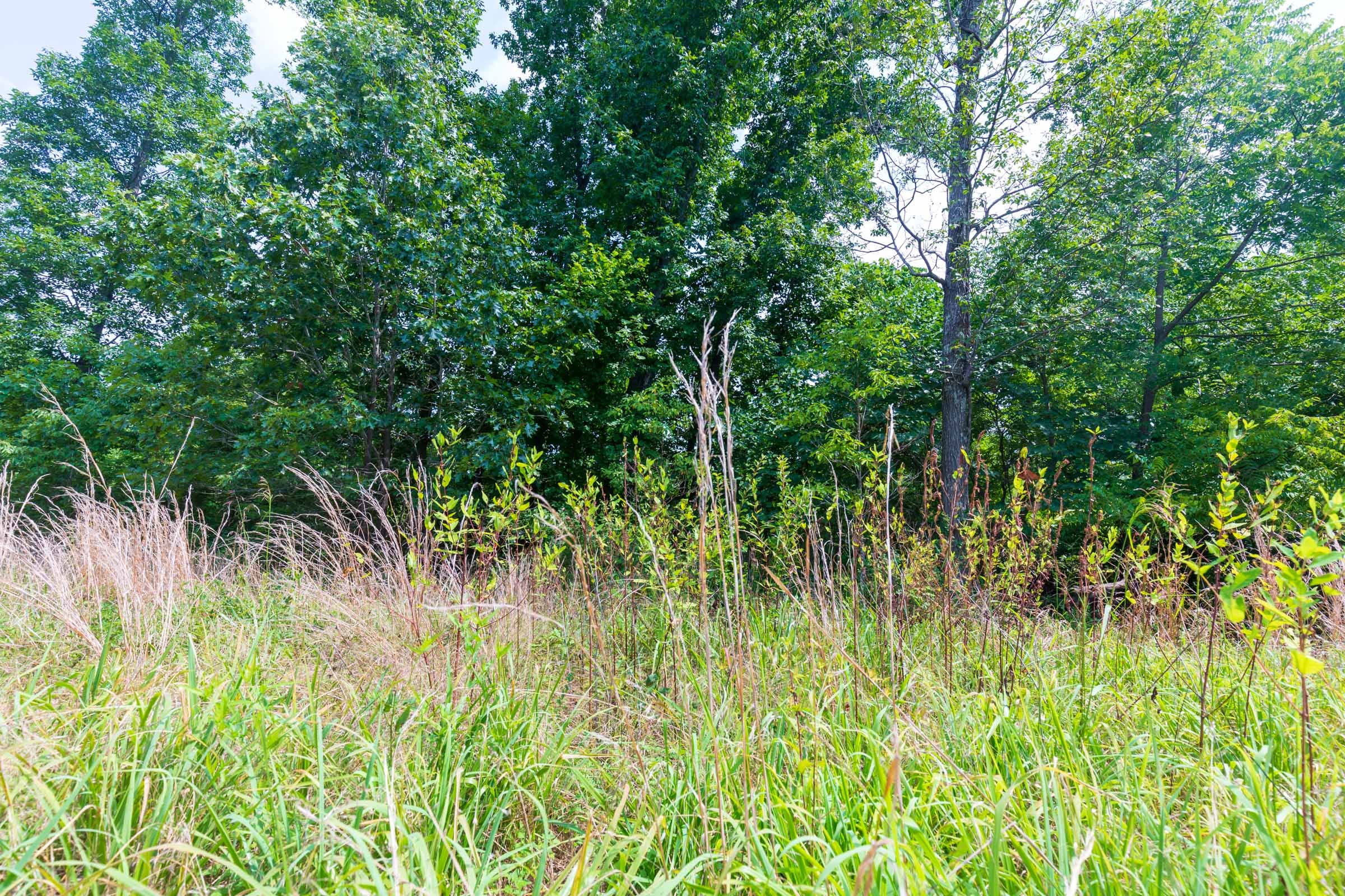 Cypress Ridge Tract 24 photo 2