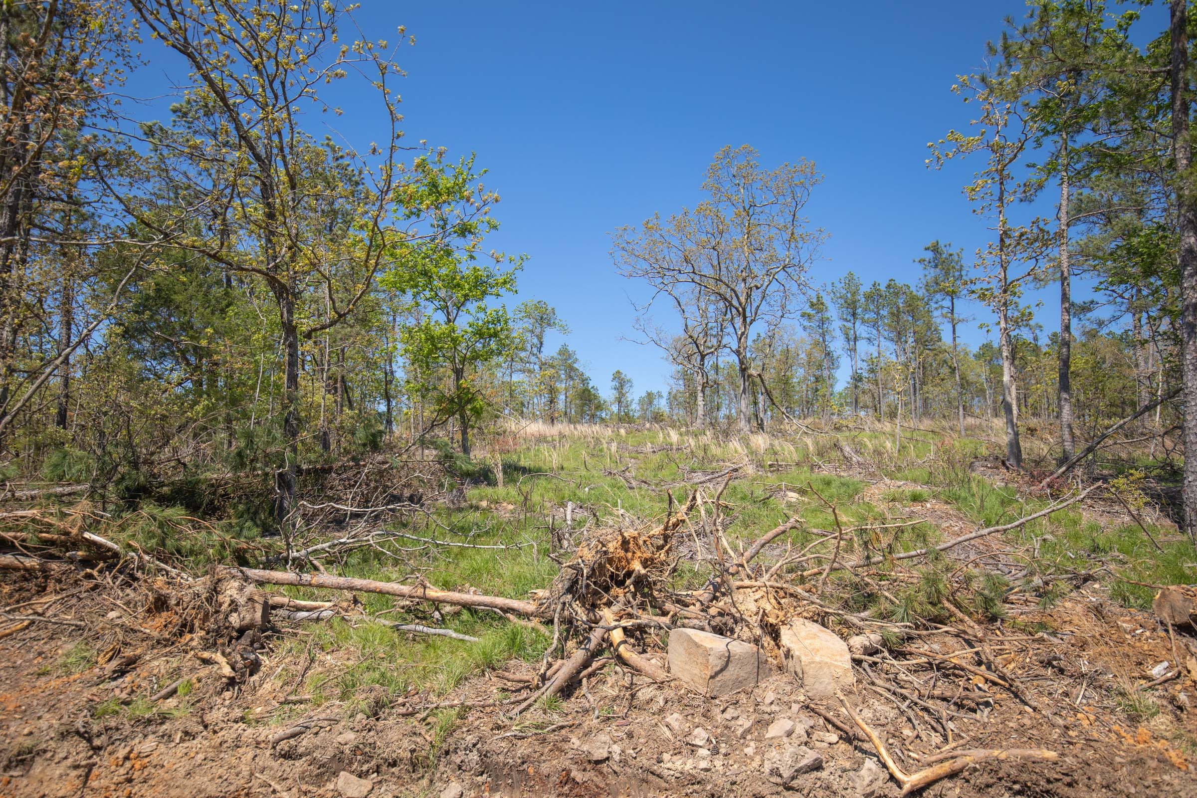 Eagle’s Nest Tract 22 photo 3