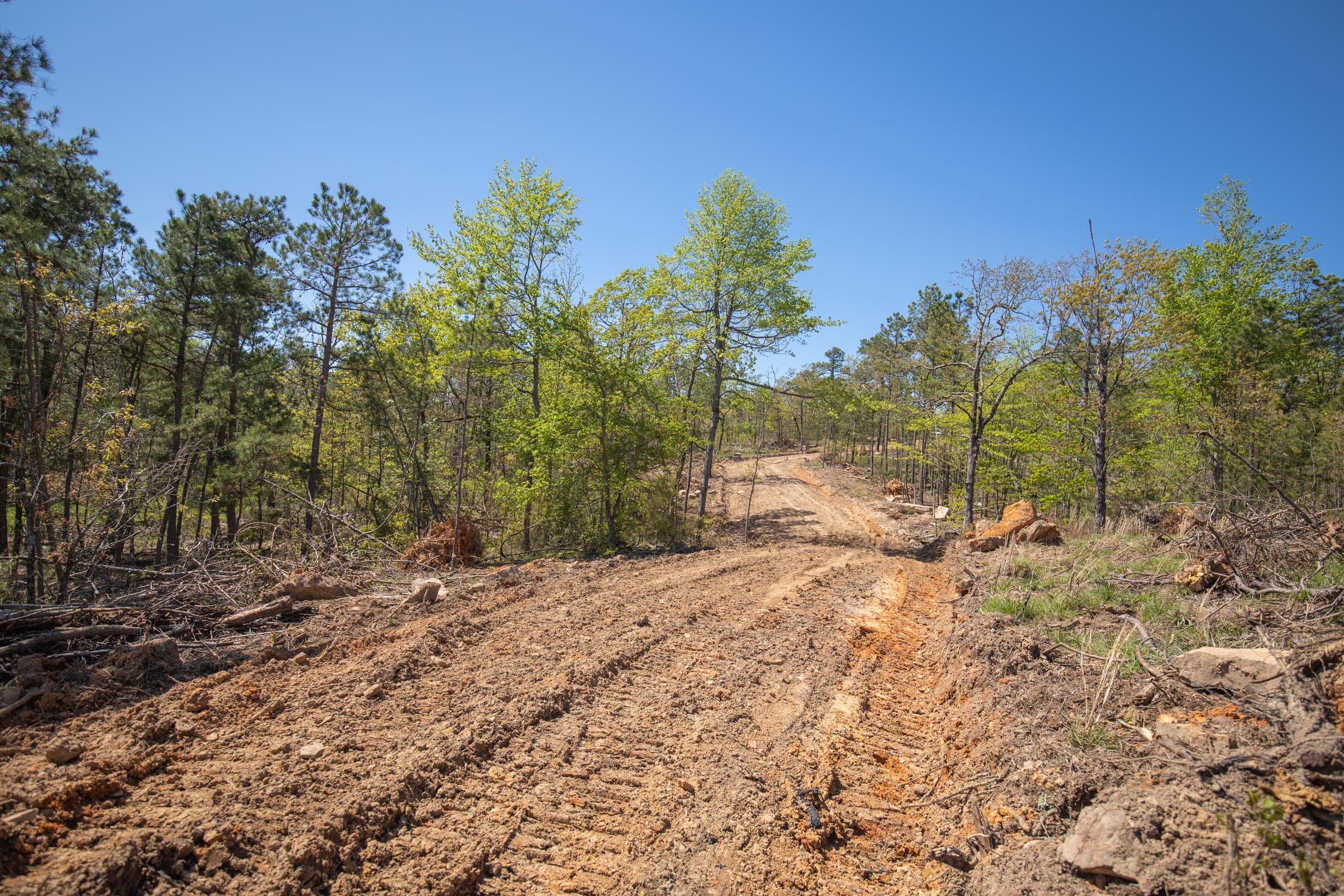Eagle’s Nest Tract 22 photo 2