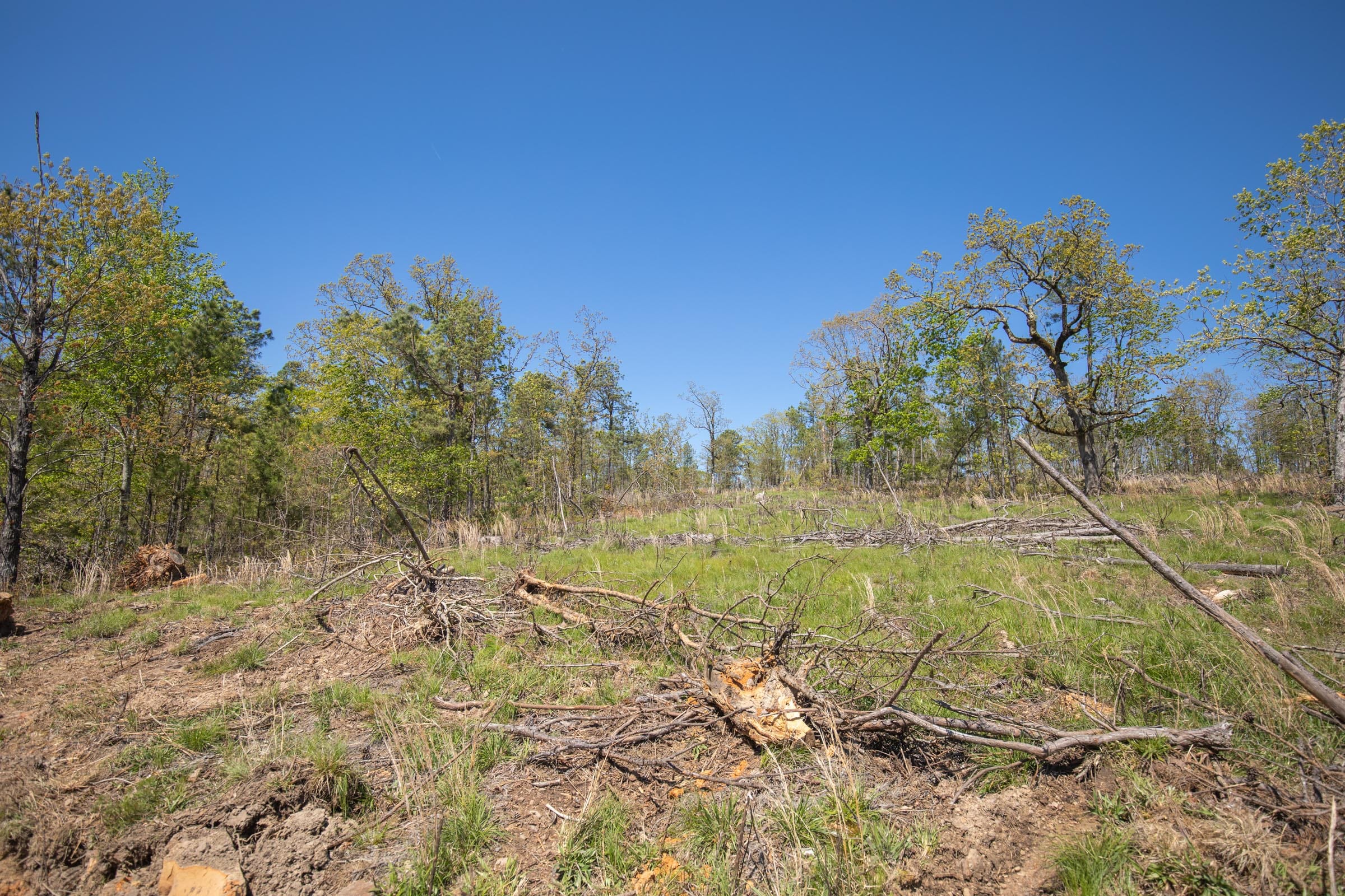 Eagle’s Nest Tract 22 photo 5