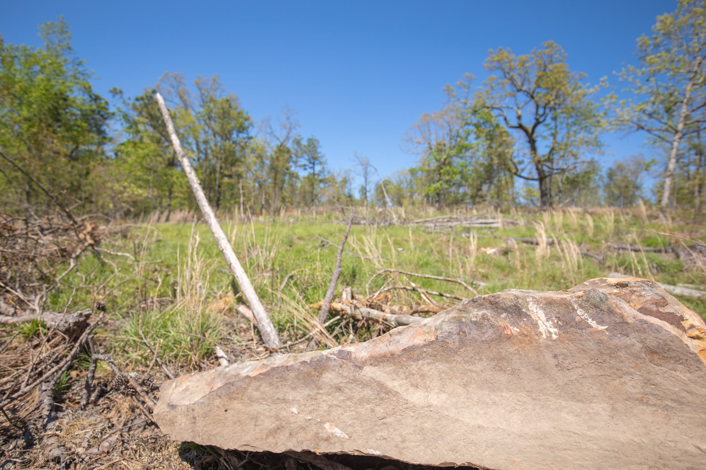 Eagle’s Nest Tract 22 photo 6