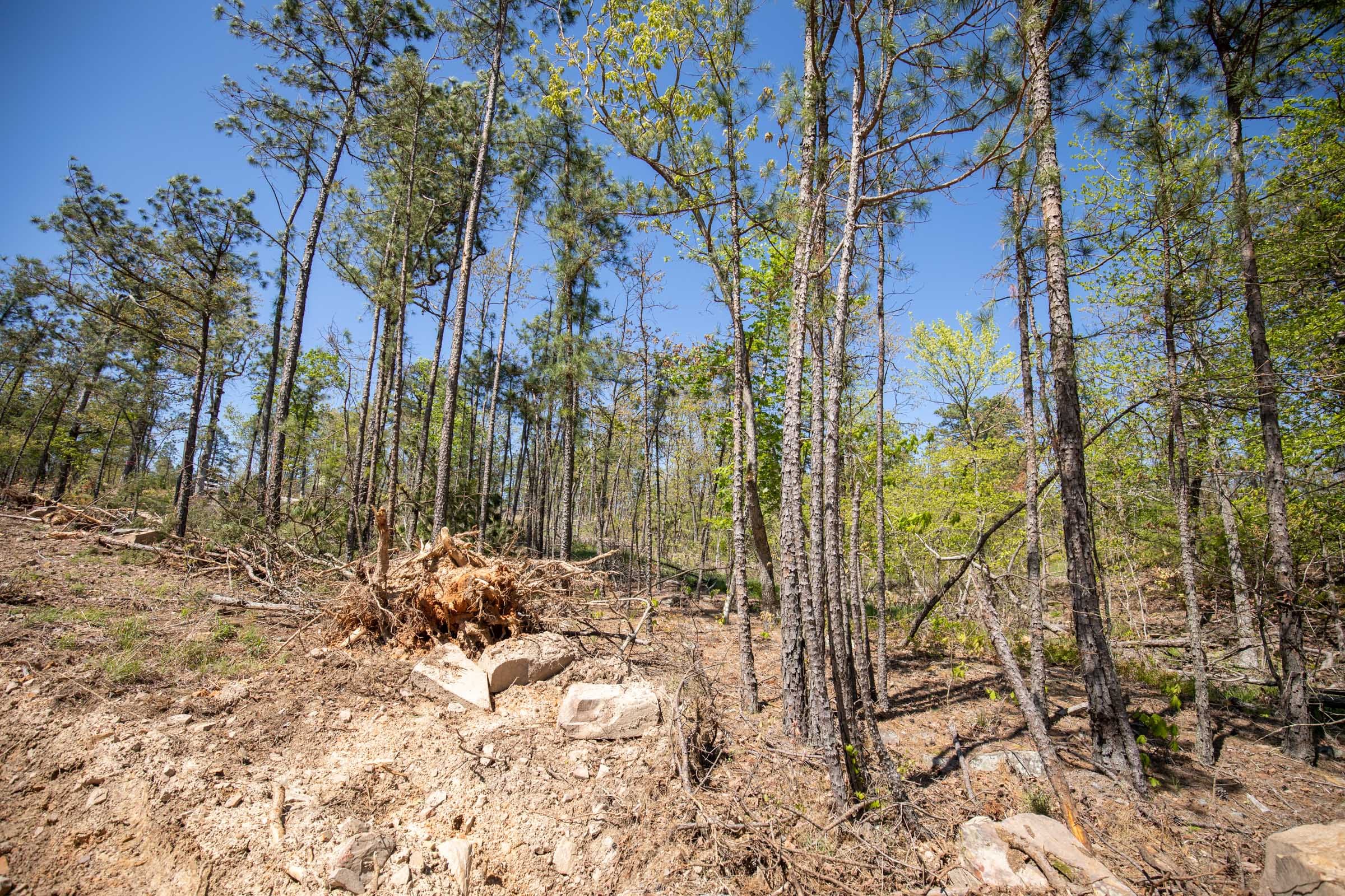 Eagle’s Nest Tract 22 photo 9