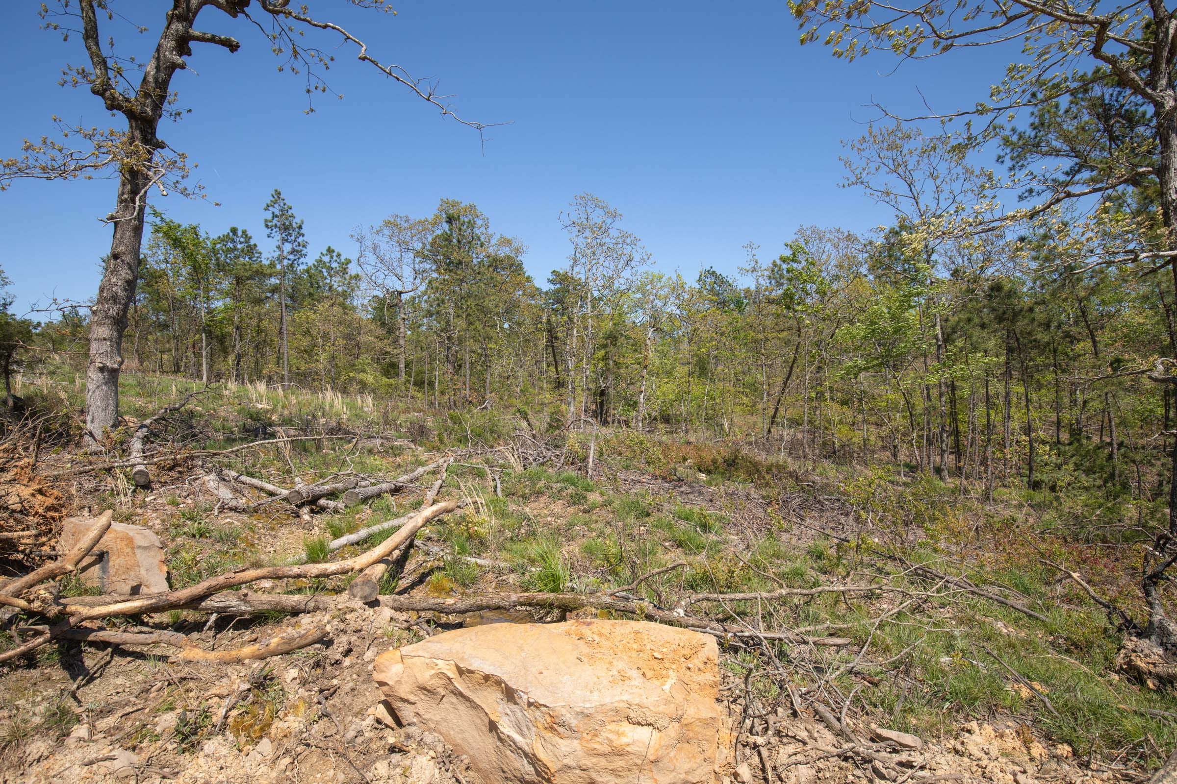 Eagle’s Nest Tract 22 photo 13
