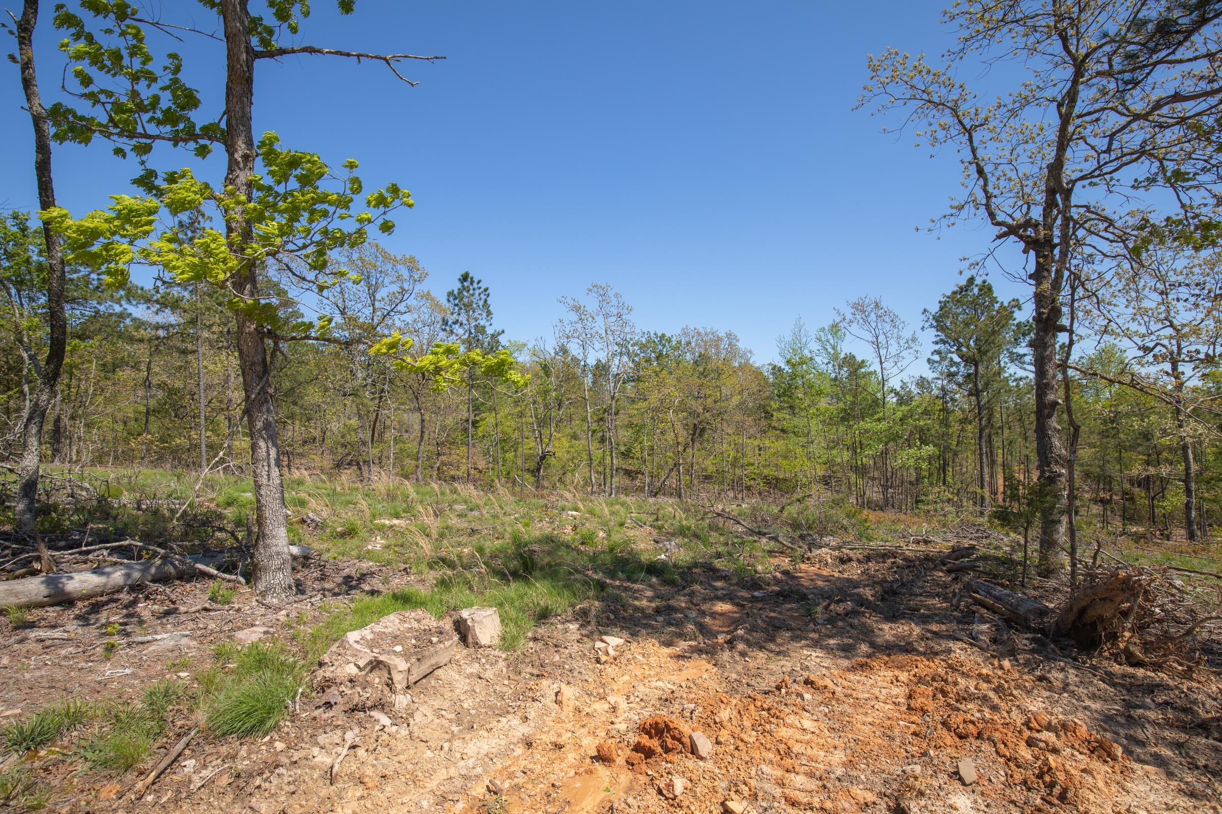 Eagle’s Nest Tract 22 photo 14