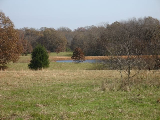Tranquility Farms Tract 9 photo 2